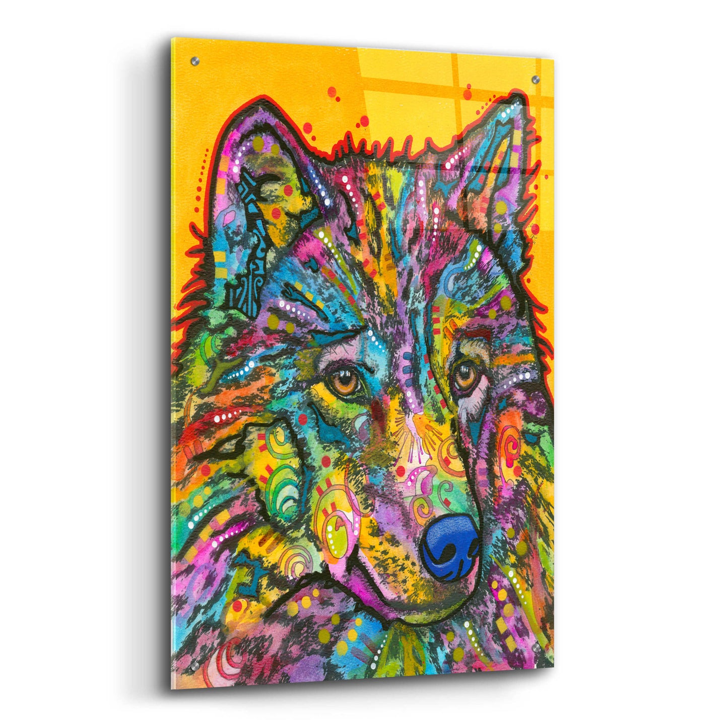 Epic Art 'Wolf 2' by Dean Russo, Acrylic Glass Wall Art,24x36