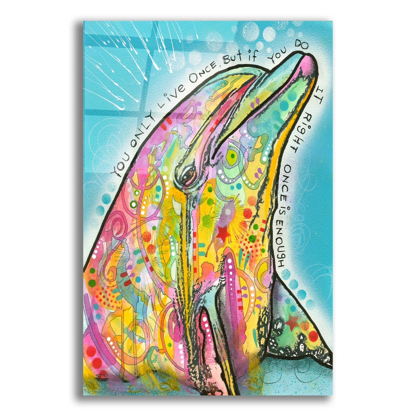 Epic Art 'Dolphin' by Dean Russo, Acrylic Glass Wall Art,12x16