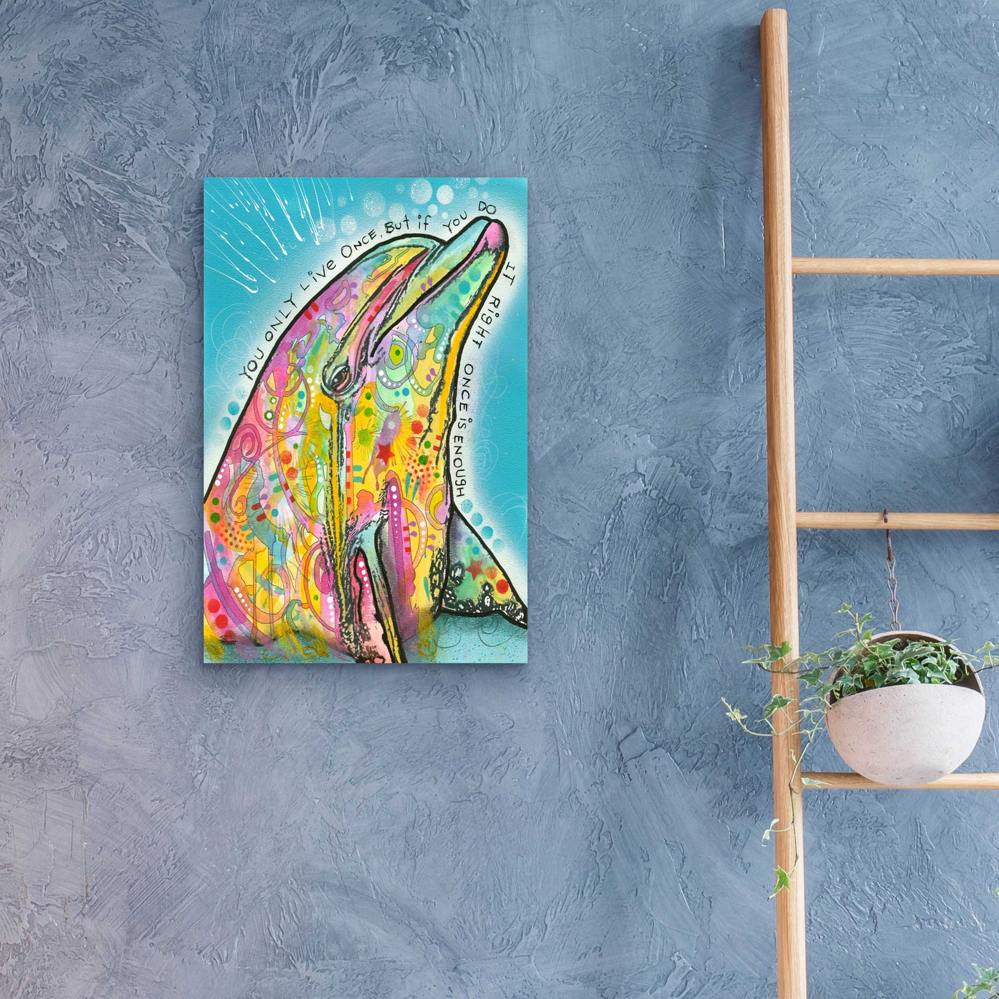 Epic Art 'Dolphin' by Dean Russo, Acrylic Glass Wall Art,16x24