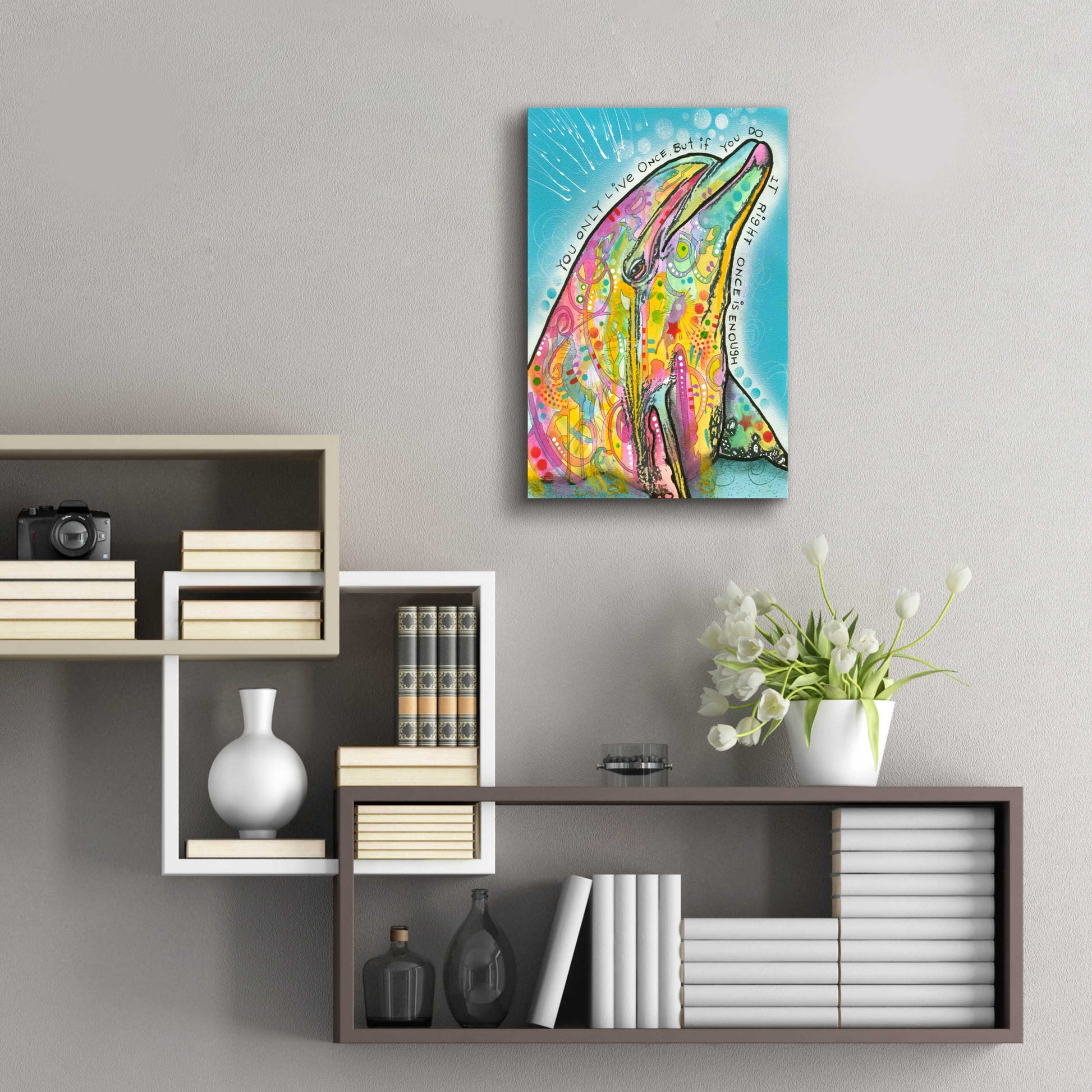 Epic Art 'Dolphin' by Dean Russo, Acrylic Glass Wall Art,16x24