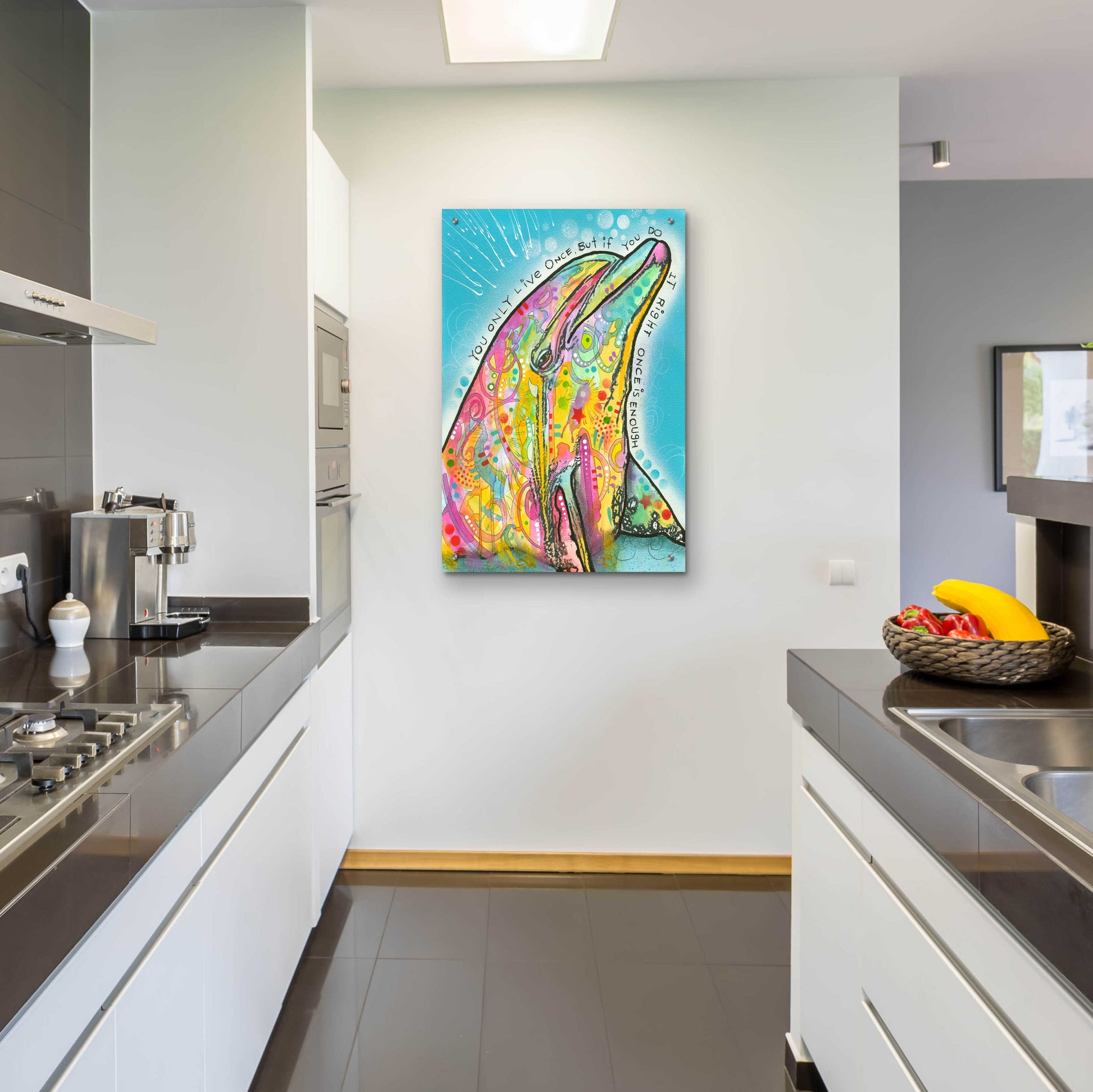 Epic Art 'Dolphin' by Dean Russo, Acrylic Glass Wall Art,24x36