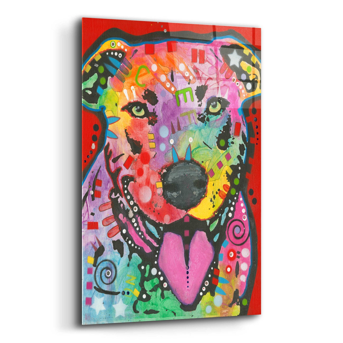 Epic Art 'Pit Bull Lick' by Dean Russo, Acrylic Glass Wall Art,12x16