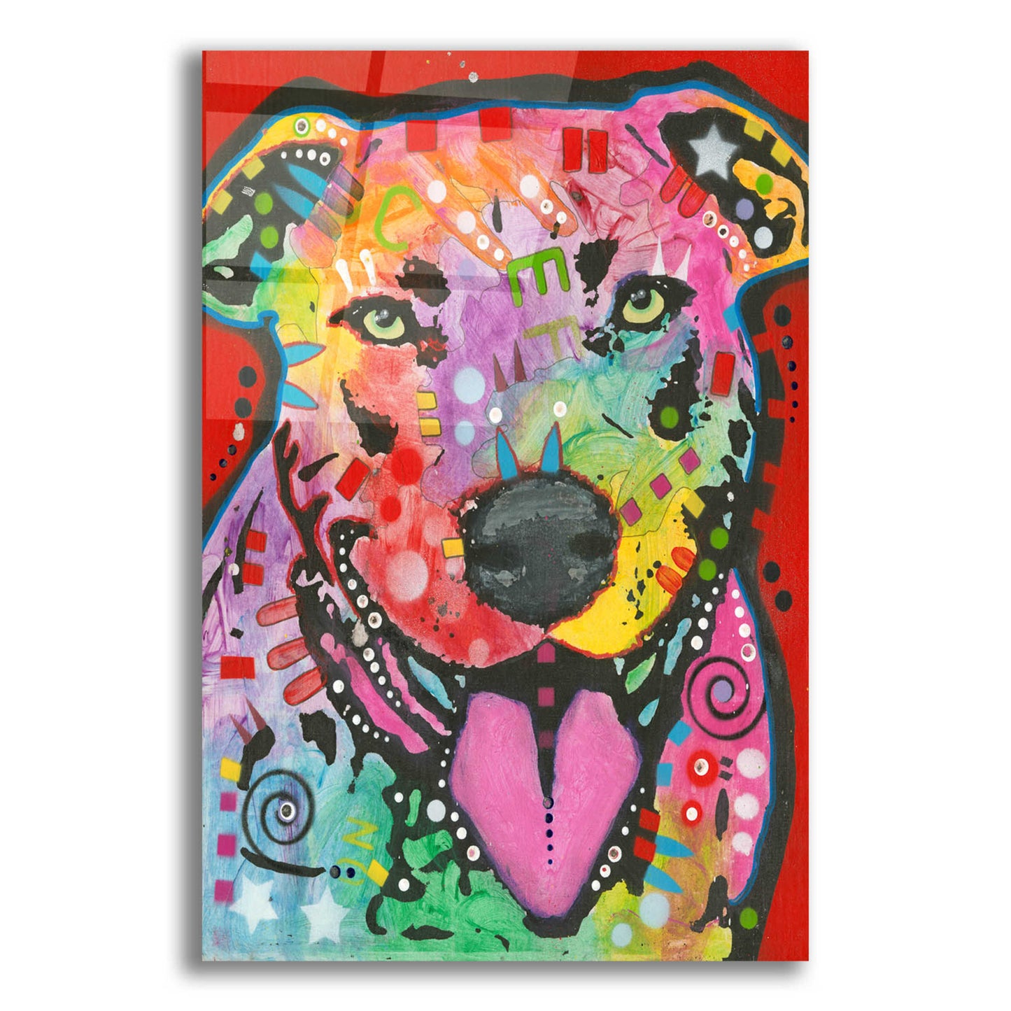 Epic Art 'Pit Bull Lick' by Dean Russo, Acrylic Glass Wall Art,12x16