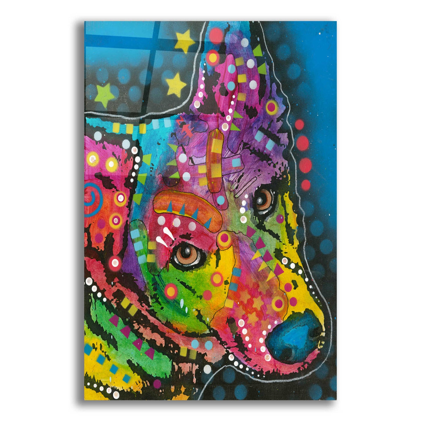 Epic Art 'Herding Dog' by Dean Russo, Acrylic Glass Wall Art,12x16