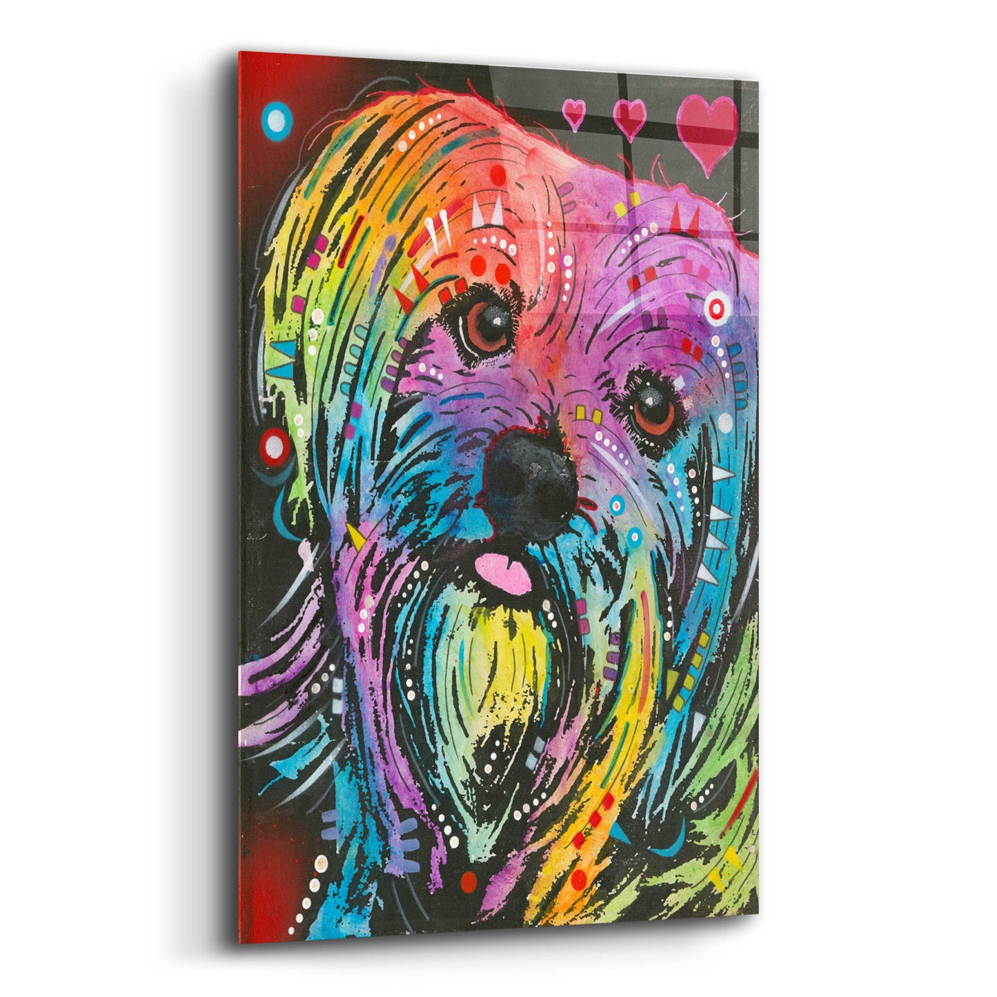 Epic Art 'Maltese Pup' by Dean Russo, Acrylic Glass Wall Art,12x16