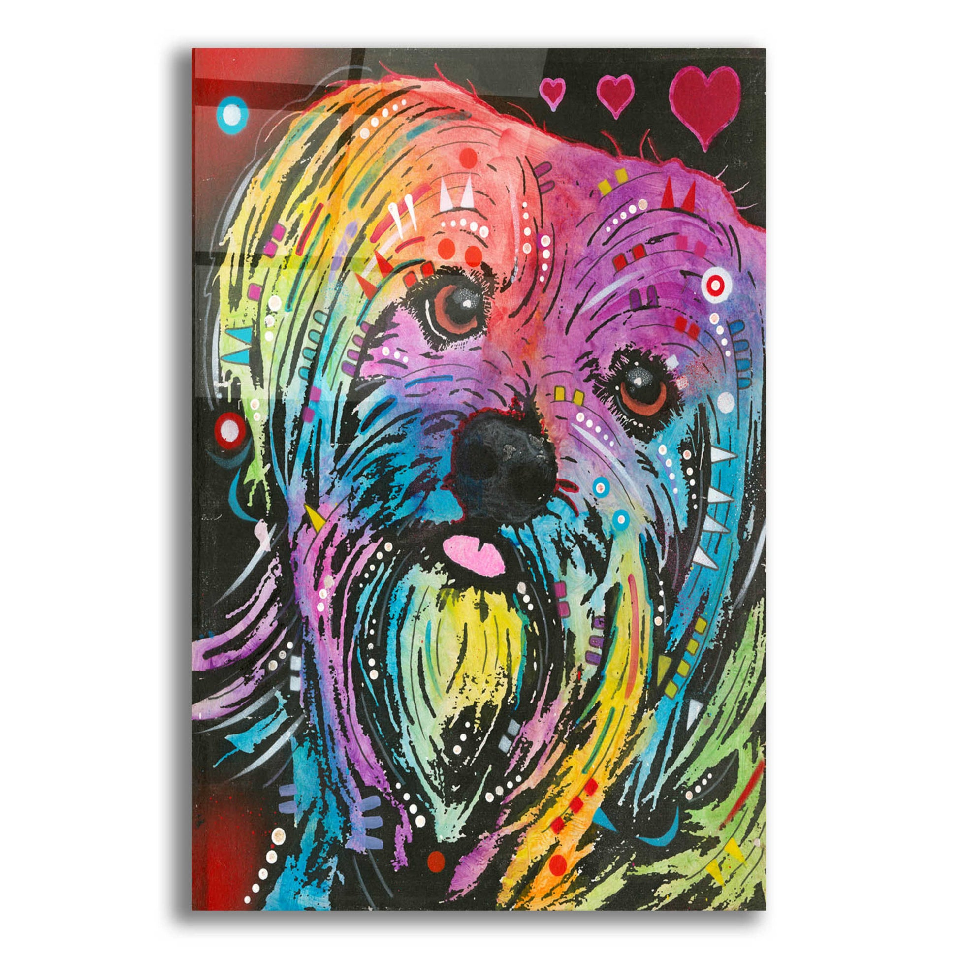 Epic Art 'Maltese Pup' by Dean Russo, Acrylic Glass Wall Art,12x16