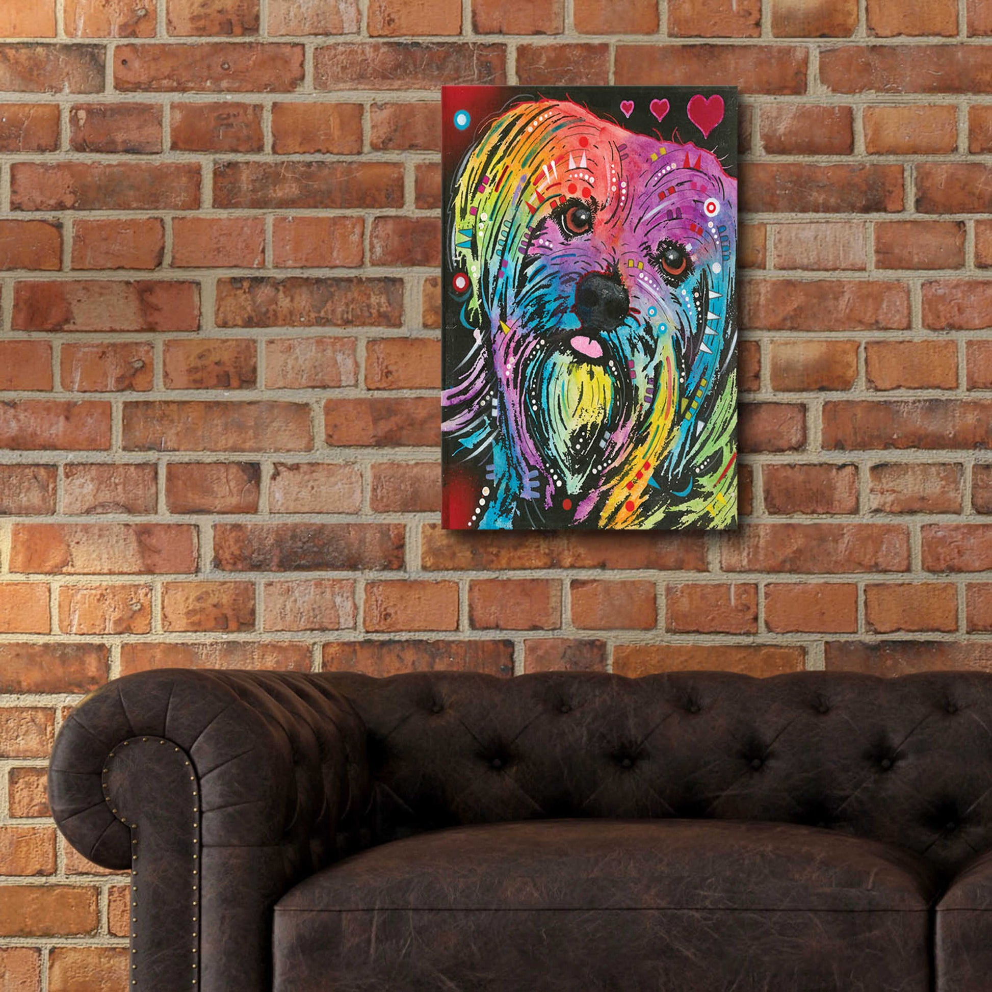 Epic Art 'Maltese Pup' by Dean Russo, Acrylic Glass Wall Art,16x24