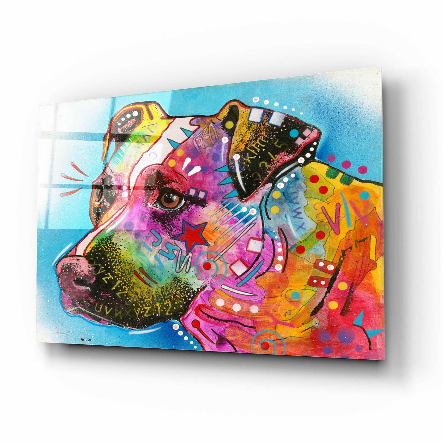 Epic Art 'Pit Bull Star' by Dean Russo, Acrylic Glass Wall Art,16x12