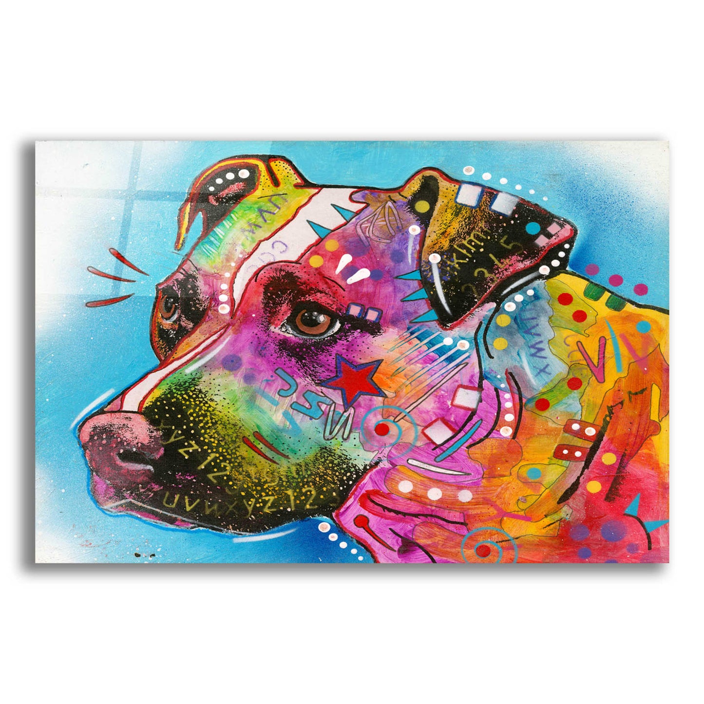 Epic Art 'Pit Bull Star' by Dean Russo, Acrylic Glass Wall Art,16x12