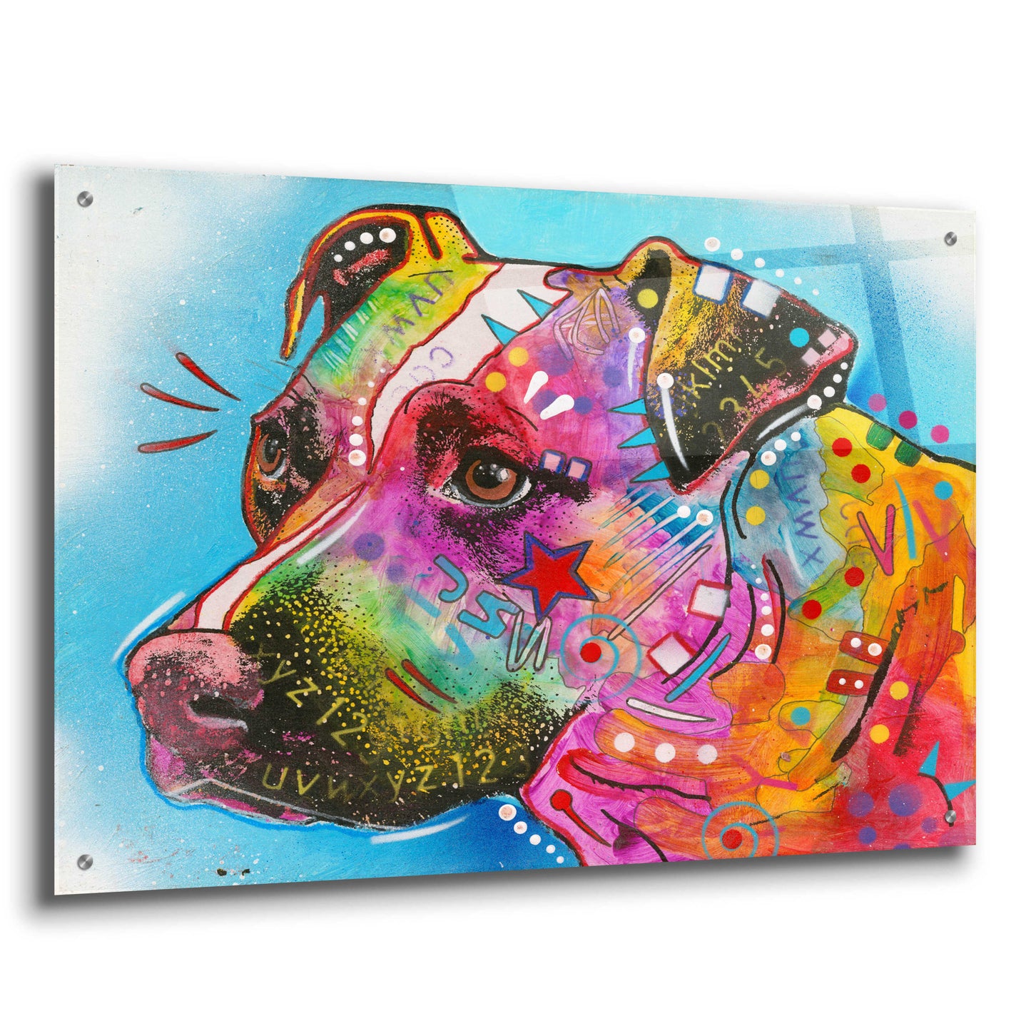 Epic Art 'Pit Bull Star' by Dean Russo, Acrylic Glass Wall Art,36x24