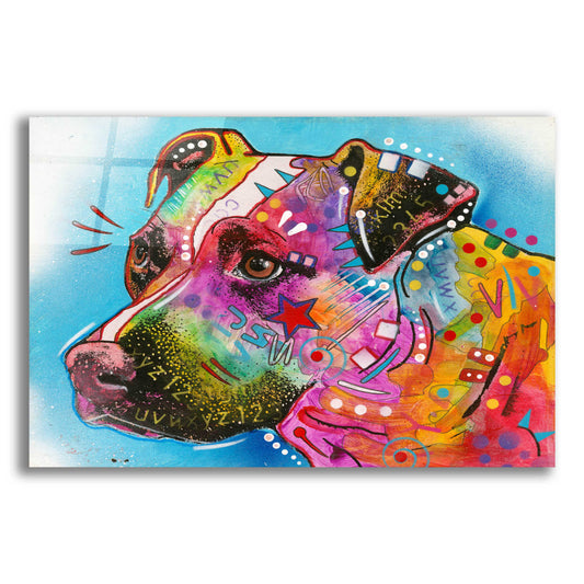 Epic Art 'Pit Bull Star' by Dean Russo, Acrylic Glass Wall Art