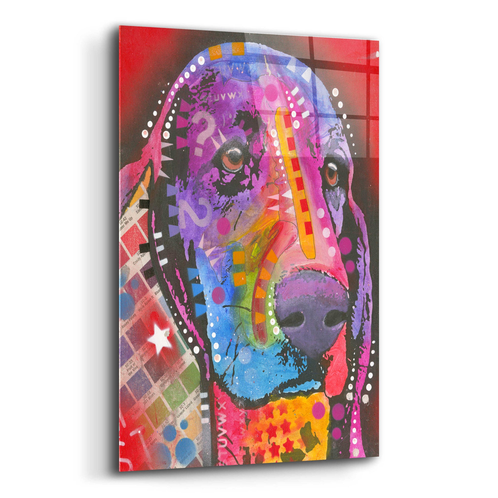 Epic Art 'Pantone Pop Basset Hound' by Dean Russo, Acrylic Glass Wall Art,12x16