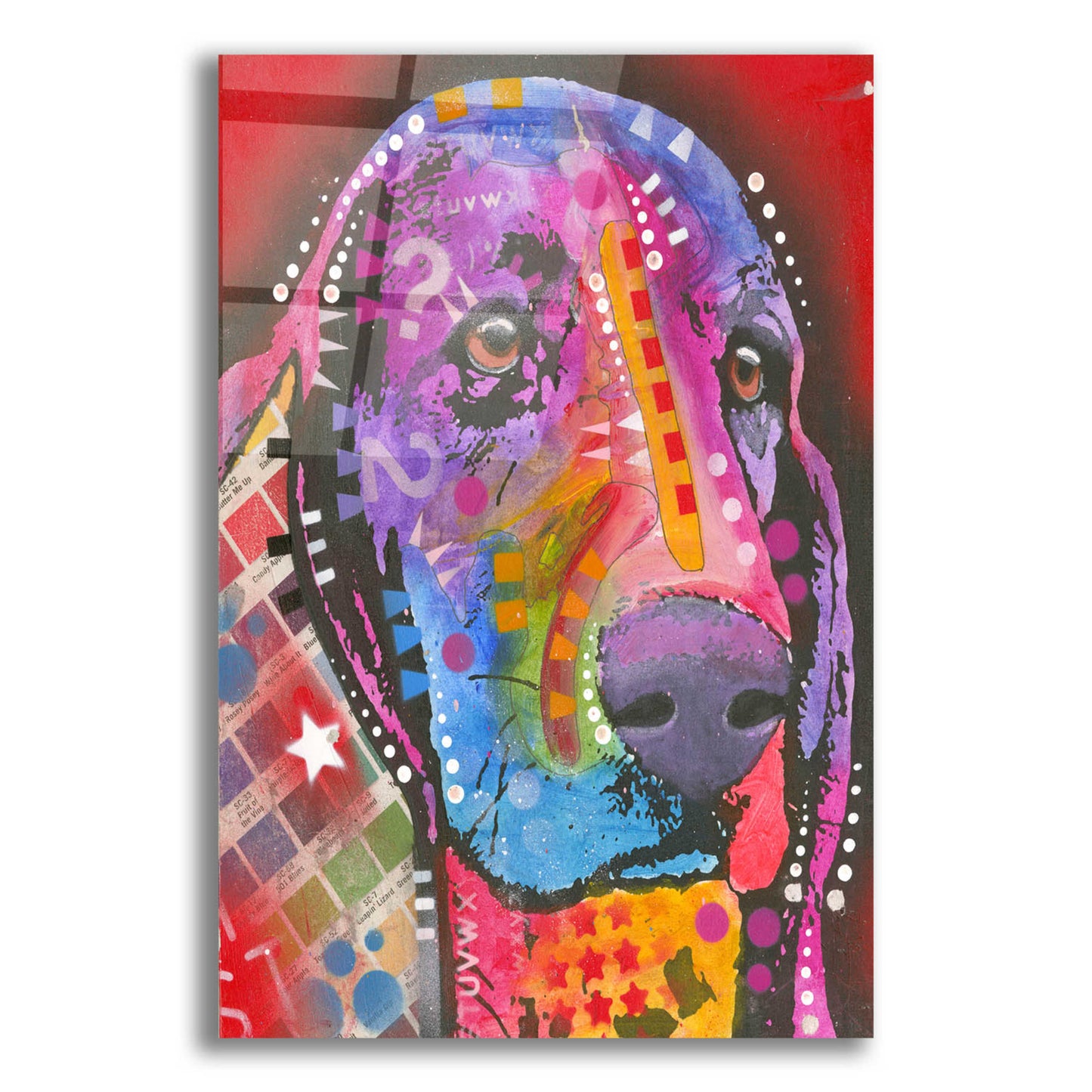 Epic Art 'Pantone Pop Basset Hound' by Dean Russo, Acrylic Glass Wall Art,12x16