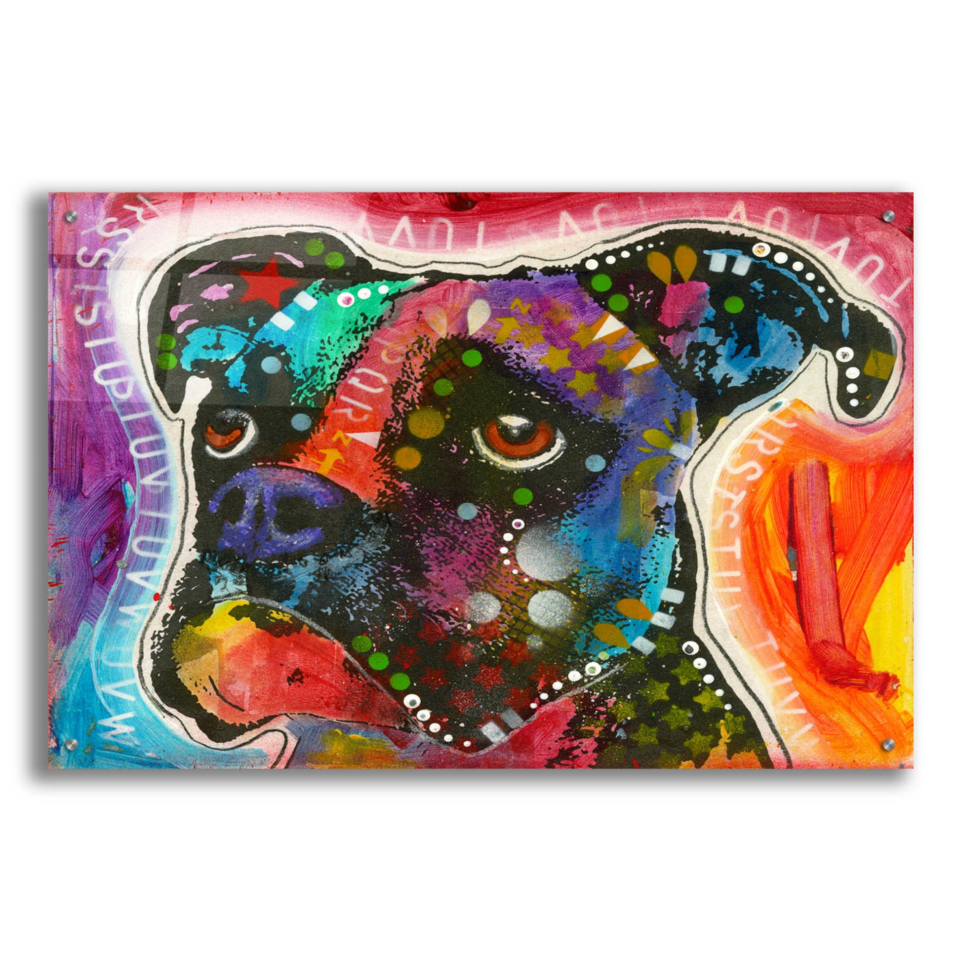 Epic Art 'Pop Boxer' by Dean Russo, Acrylic Glass Wall Art,36x24