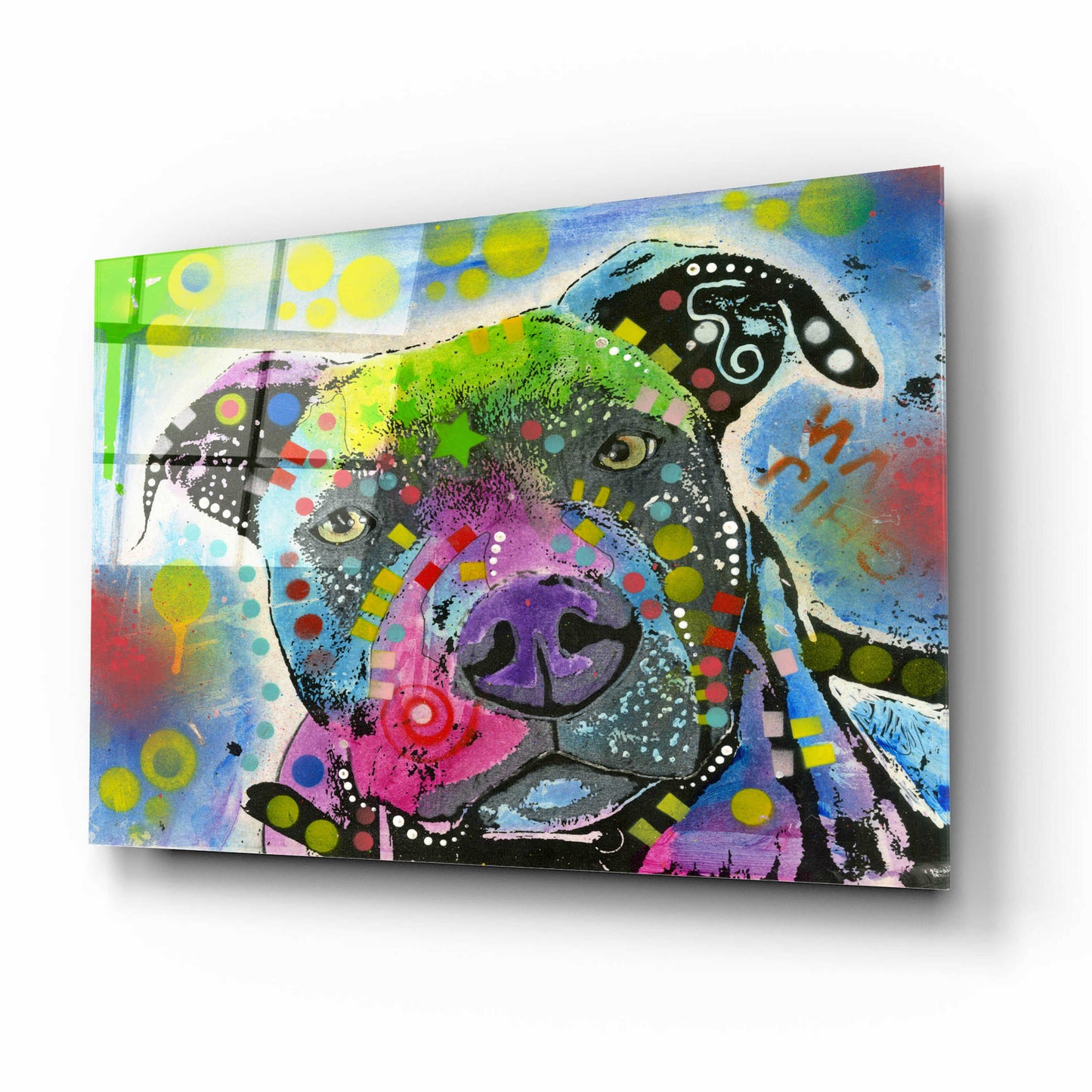 Epic Art 'Pit Bull's mix it up' by Dean Russo, Acrylic Glass Wall Art,16x12