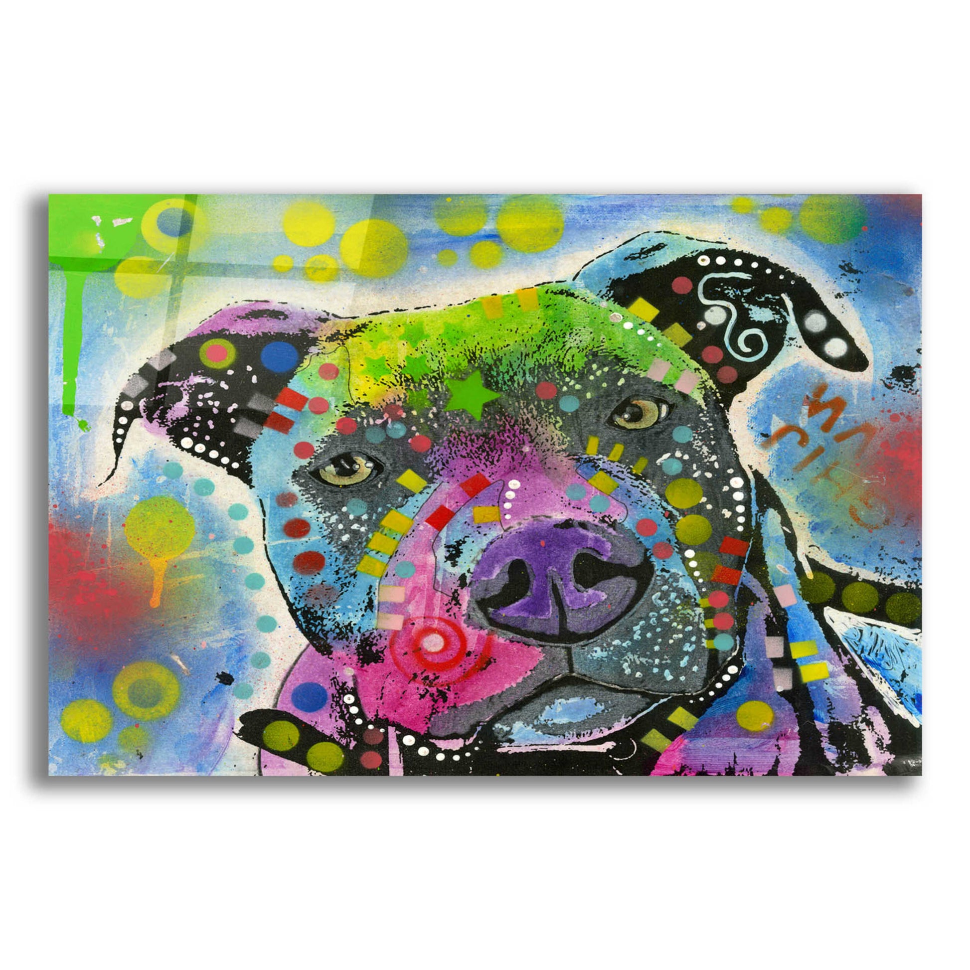 Epic Art 'Pit Bull's mix it up' by Dean Russo, Acrylic Glass Wall Art,16x12