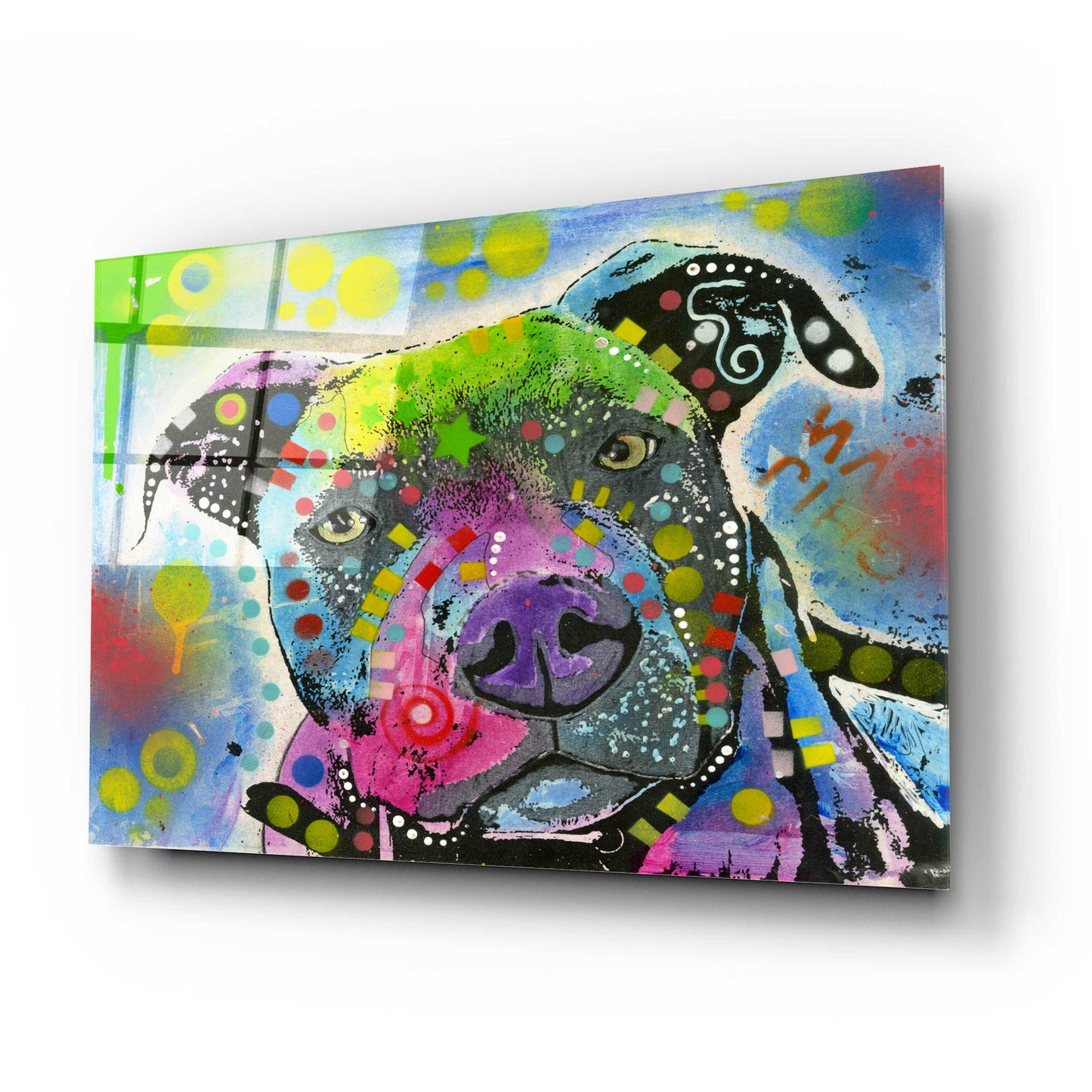 Epic Art 'Pit Bull's mix it up' by Dean Russo, Acrylic Glass Wall Art,24x16