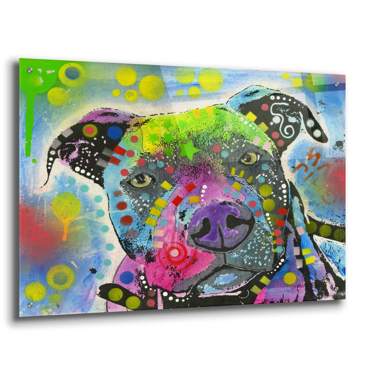 Epic Art 'Pit Bull's mix it up' by Dean Russo, Acrylic Glass Wall Art,36x24