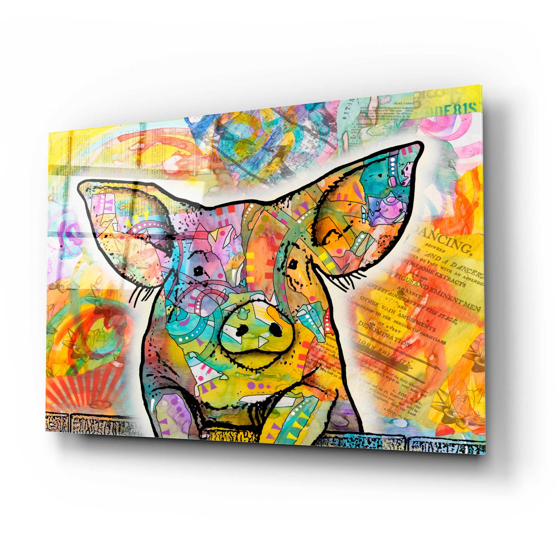 Epic Art 'The Pig' by Dean Russo, Acrylic Glass Wall Art,24x16