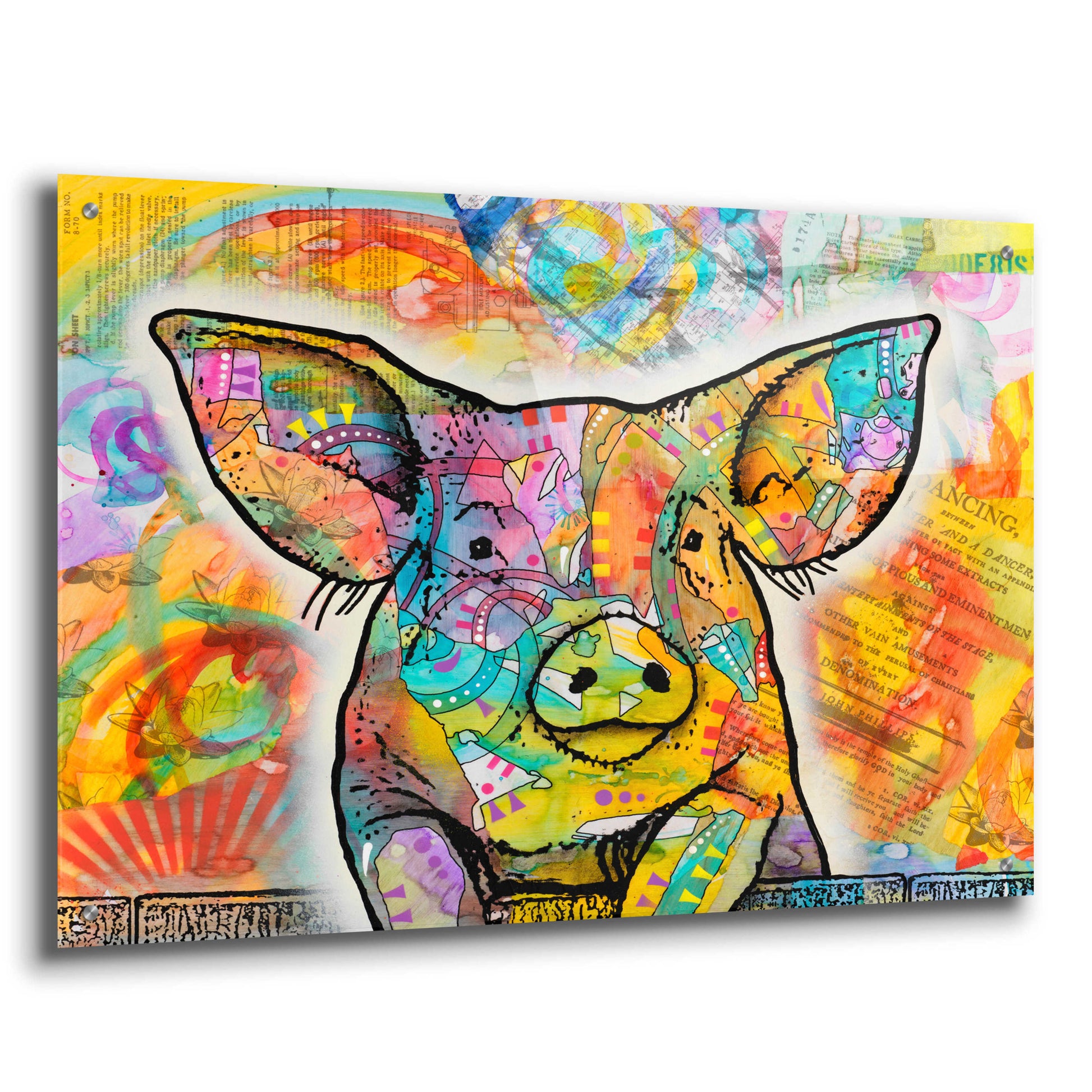 Epic Art 'The Pig' by Dean Russo, Acrylic Glass Wall Art,36x24