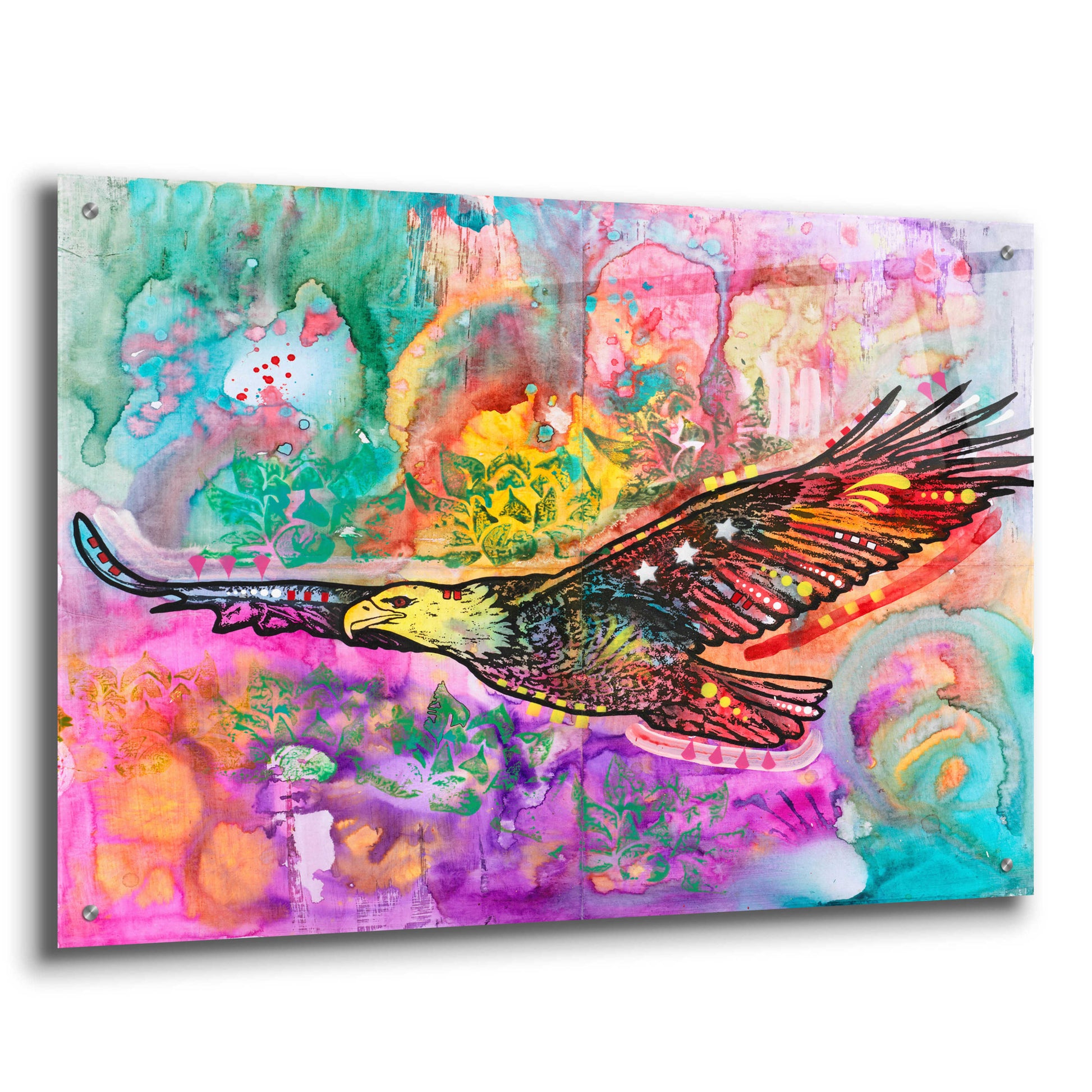 Epic Art 'Sacred Eagle' by Dean Russo, Acrylic Glass Wall Art,36x24