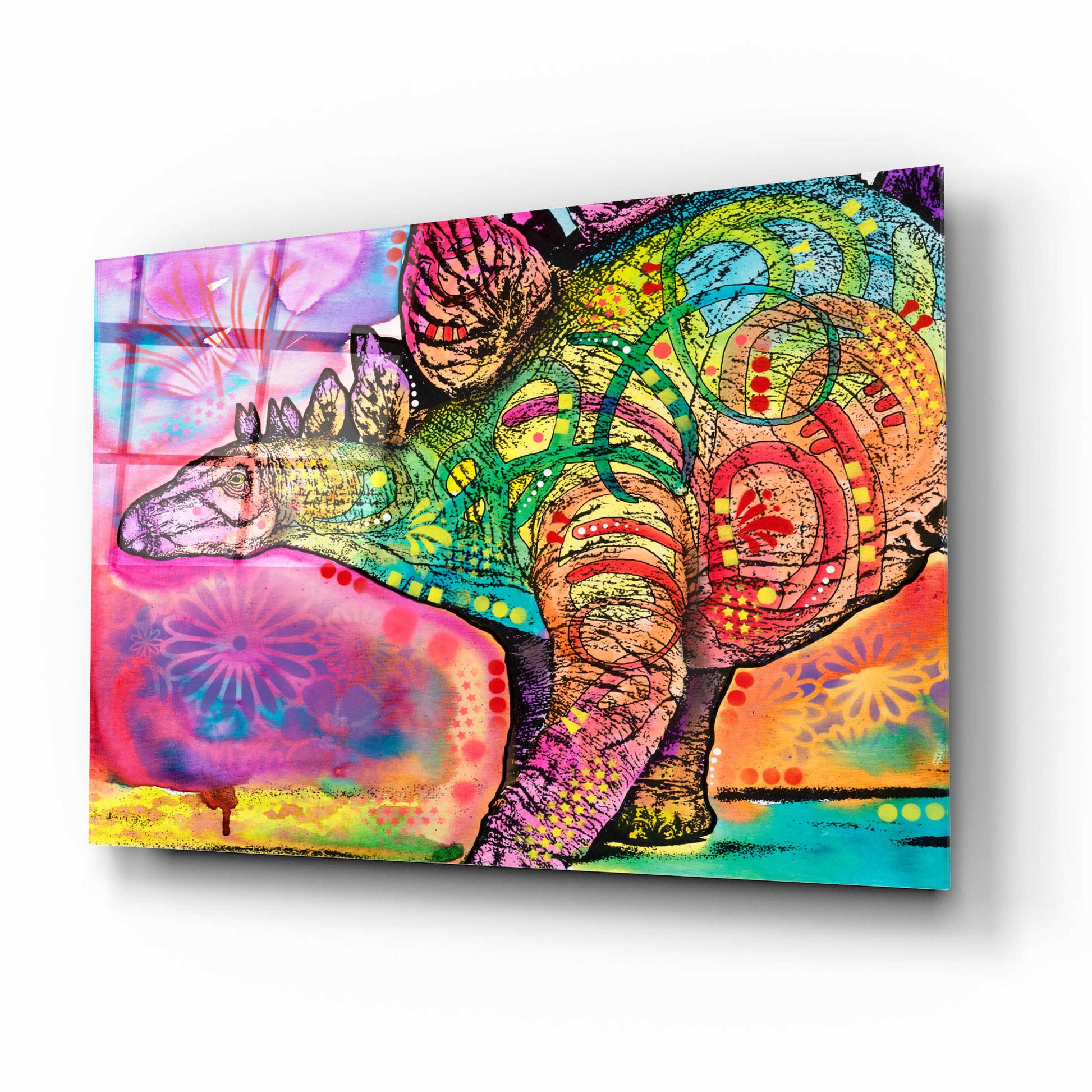 Epic Art 'Stegosaurus' by Dean Russo, Acrylic Glass Wall Art,16x12