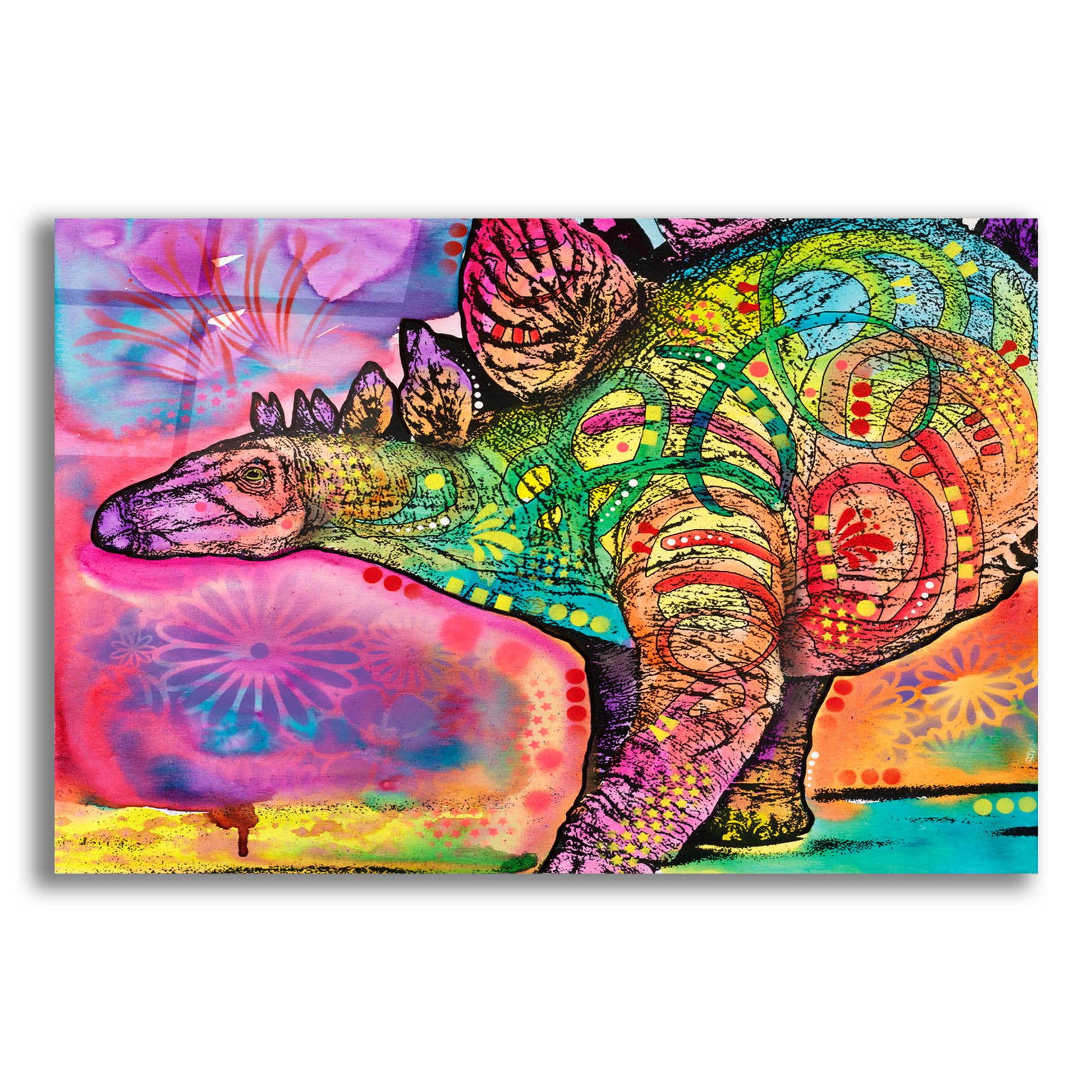 Epic Art 'Stegosaurus' by Dean Russo, Acrylic Glass Wall Art,16x12