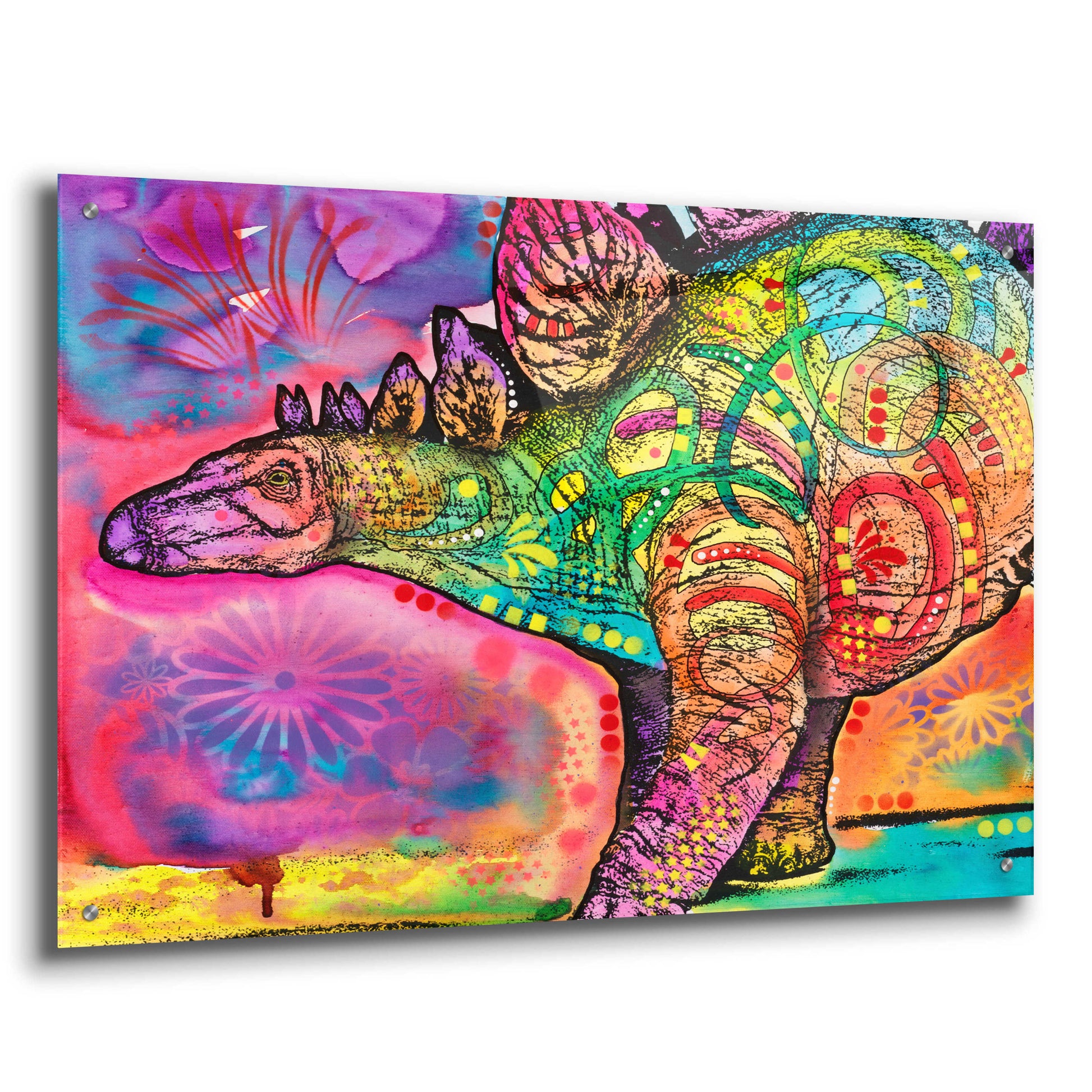 Epic Art 'Stegosaurus' by Dean Russo, Acrylic Glass Wall Art,36x24