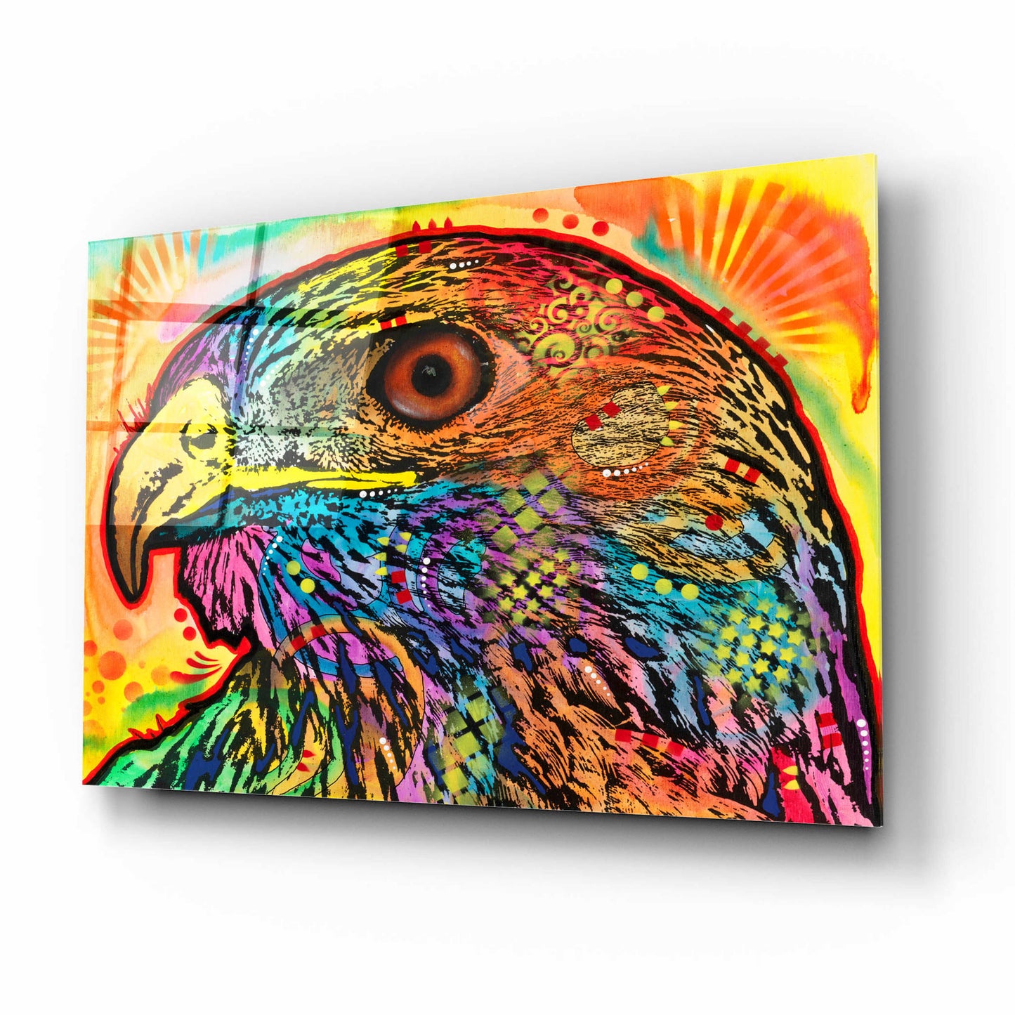 Epic Art 'Hawk eye' by Dean Russo, Acrylic Glass Wall Art,16x12