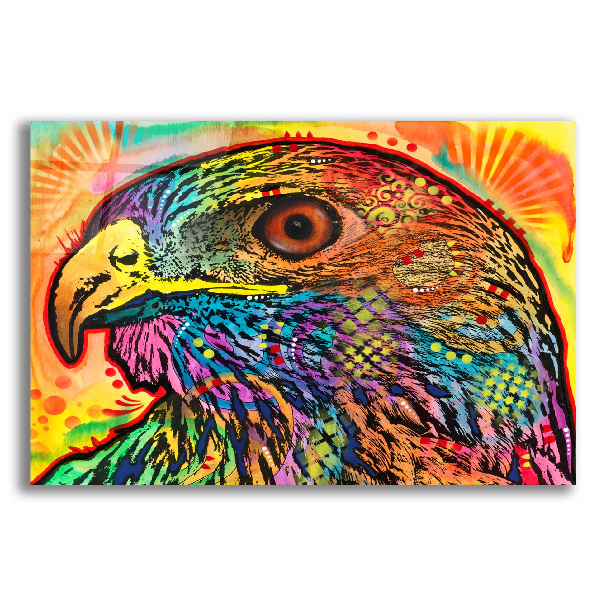 Epic Art 'Hawk eye' by Dean Russo, Acrylic Glass Wall Art,16x12