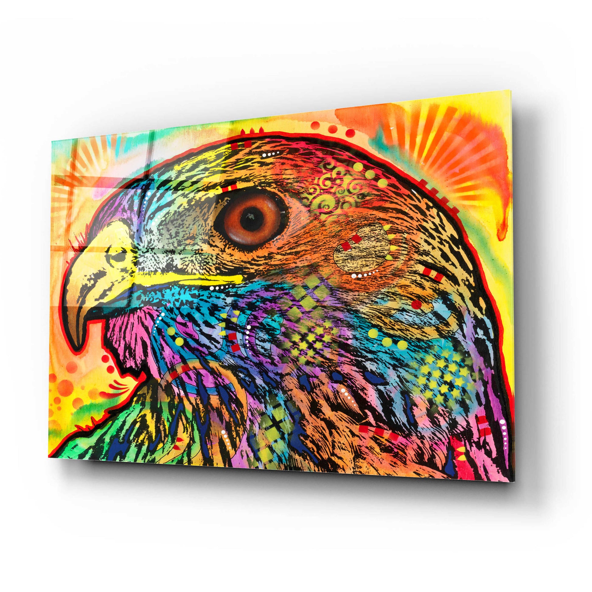 Epic Art 'Hawk eye' by Dean Russo, Acrylic Glass Wall Art,24x16