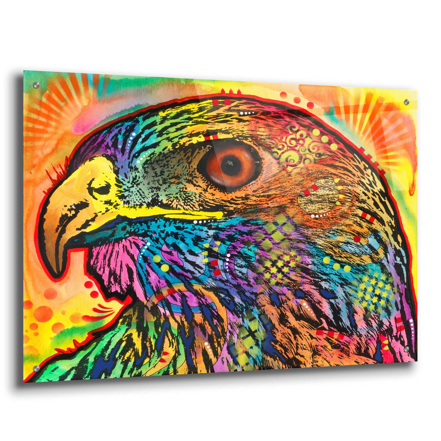 Epic Art 'Hawk eye' by Dean Russo, Acrylic Glass Wall Art,36x24