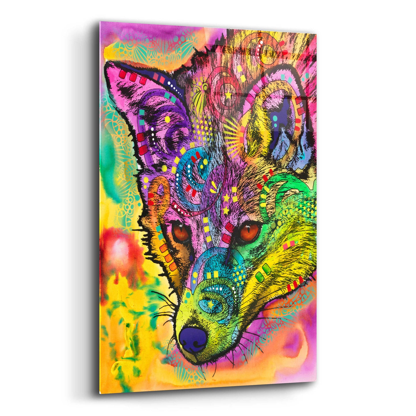 Epic Art 'Sly as a Fox' by Dean Russo, Acrylic Glass Wall Art,12x16