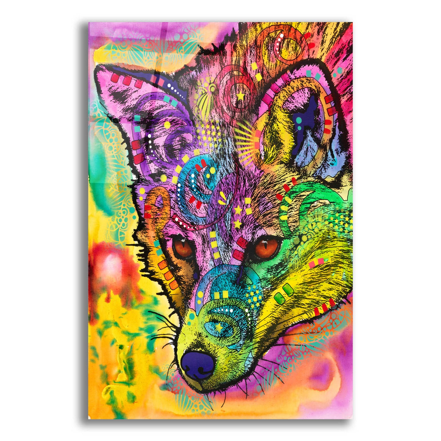 Epic Art 'Sly as a Fox' by Dean Russo, Acrylic Glass Wall Art,12x16