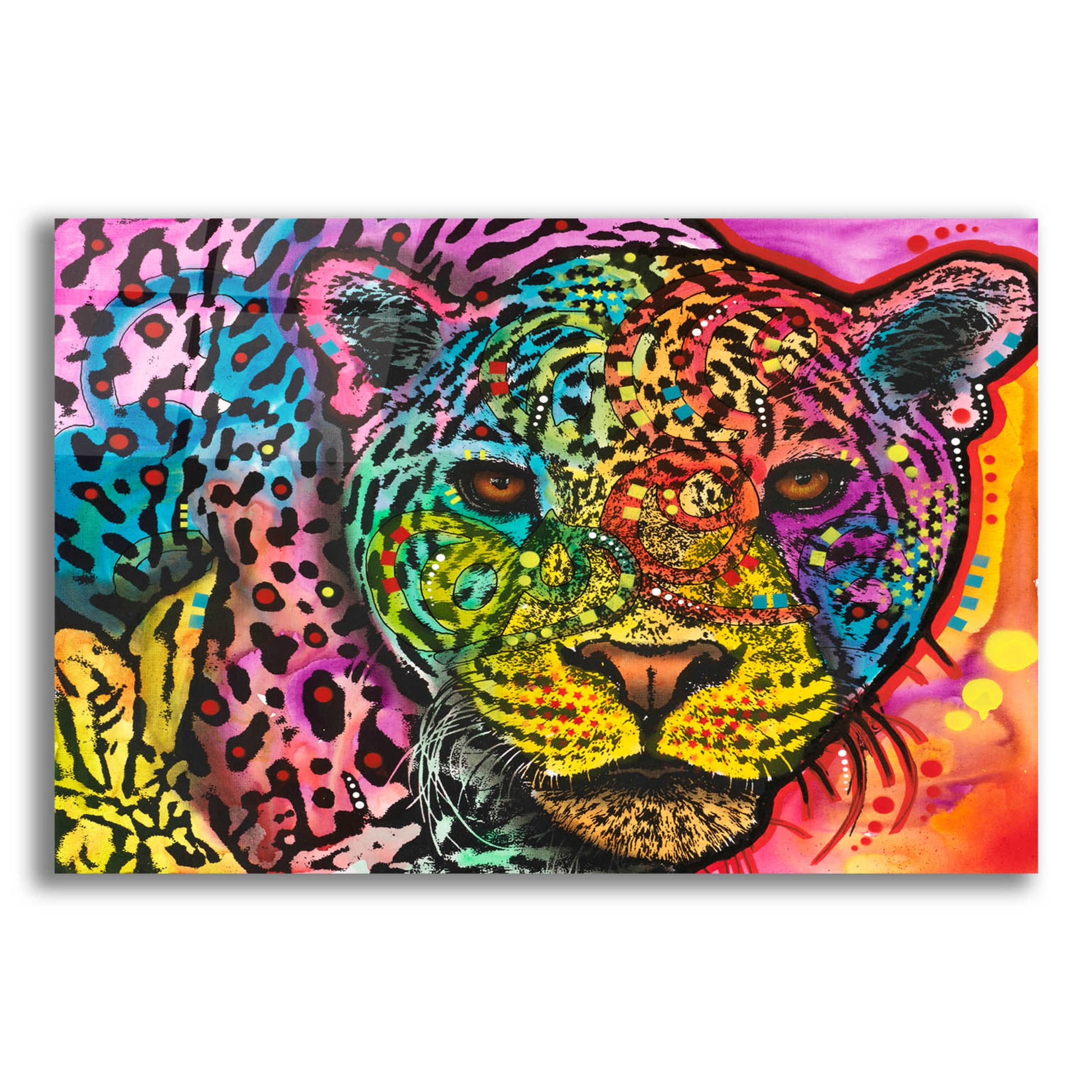 Epic Art 'Leopard Spots' by Dean Russo, Acrylic Glass Wall Art,16x12