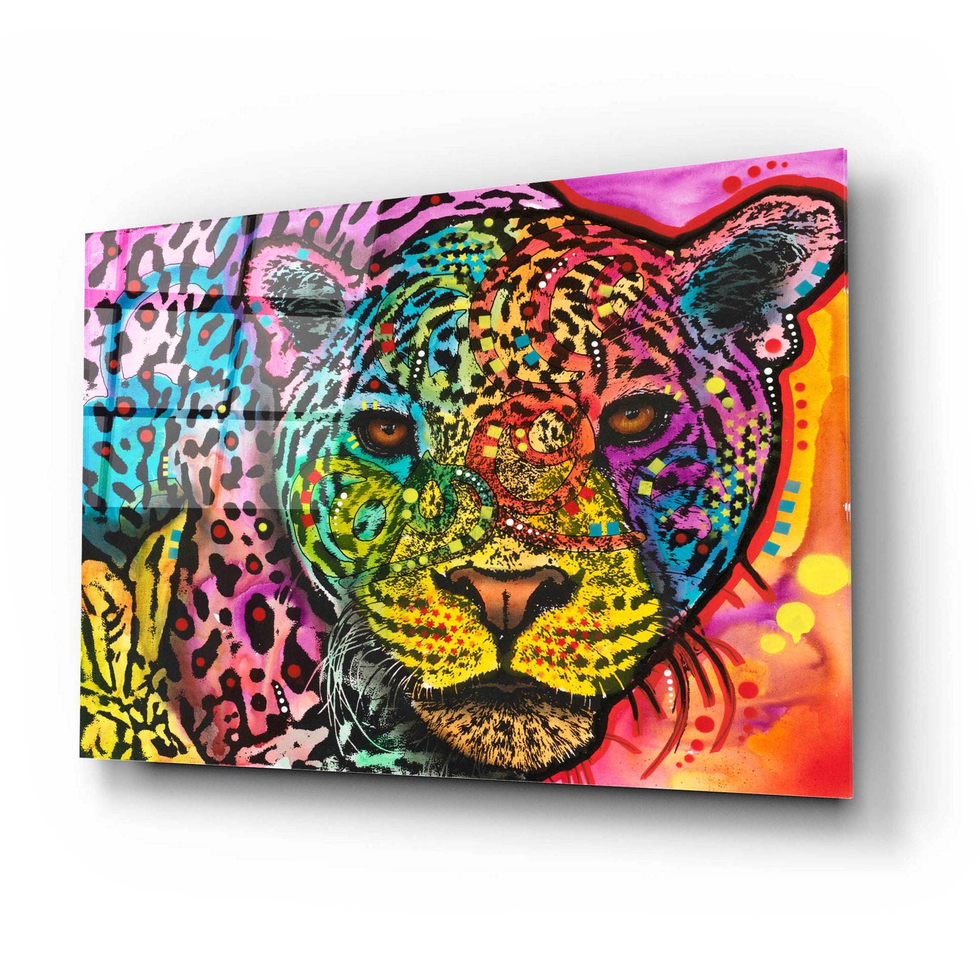 Epic Art 'Leopard Spots' by Dean Russo, Acrylic Glass Wall Art,24x16