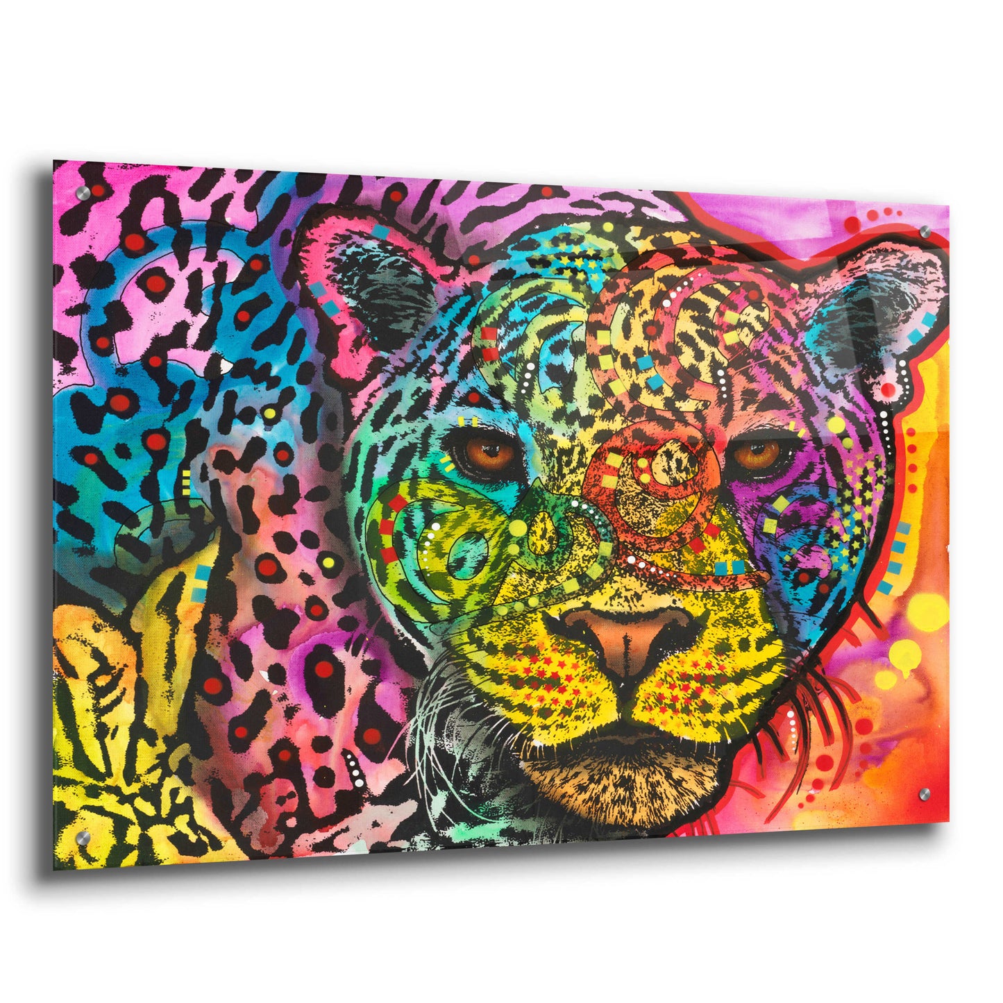 Epic Art 'Leopard Spots' by Dean Russo, Acrylic Glass Wall Art,36x24