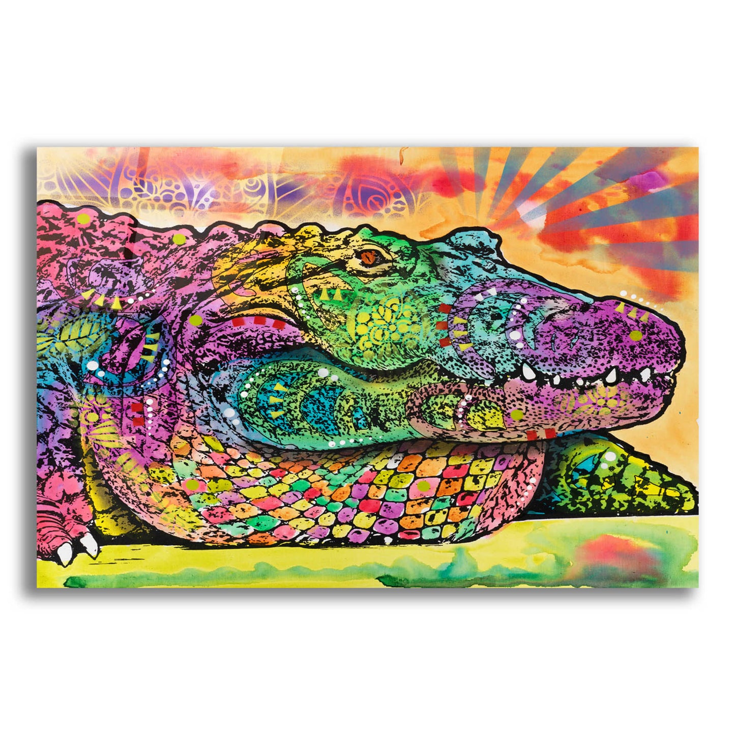 Epic Art 'In a While Crocodile' by Dean Russo, Acrylic Glass Wall Art,16x12