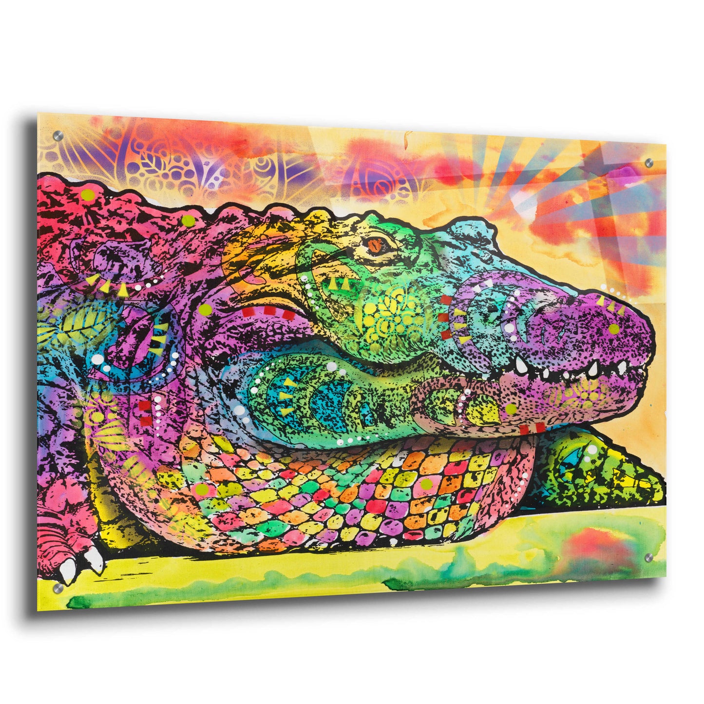 Epic Art 'In a While Crocodile' by Dean Russo, Acrylic Glass Wall Art,36x24