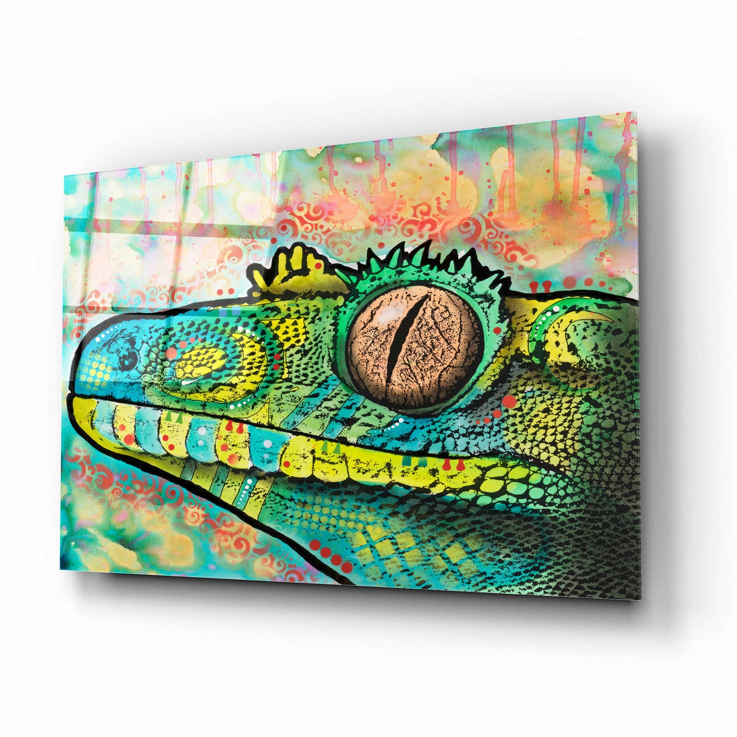 Epic Art 'Gecko' by Dean Russo, Acrylic Glass Wall Art,16x12