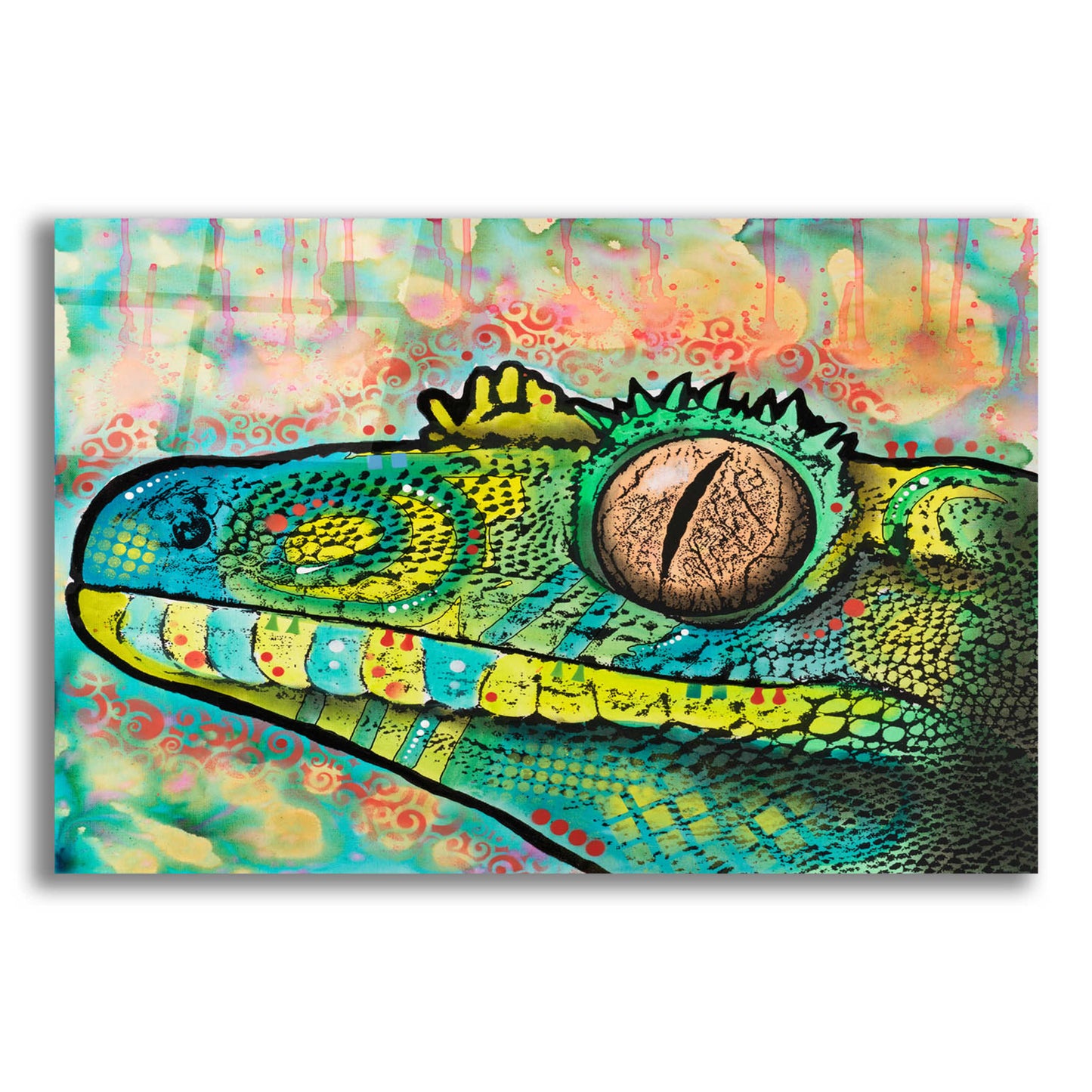 Epic Art 'Gecko' by Dean Russo, Acrylic Glass Wall Art,16x12