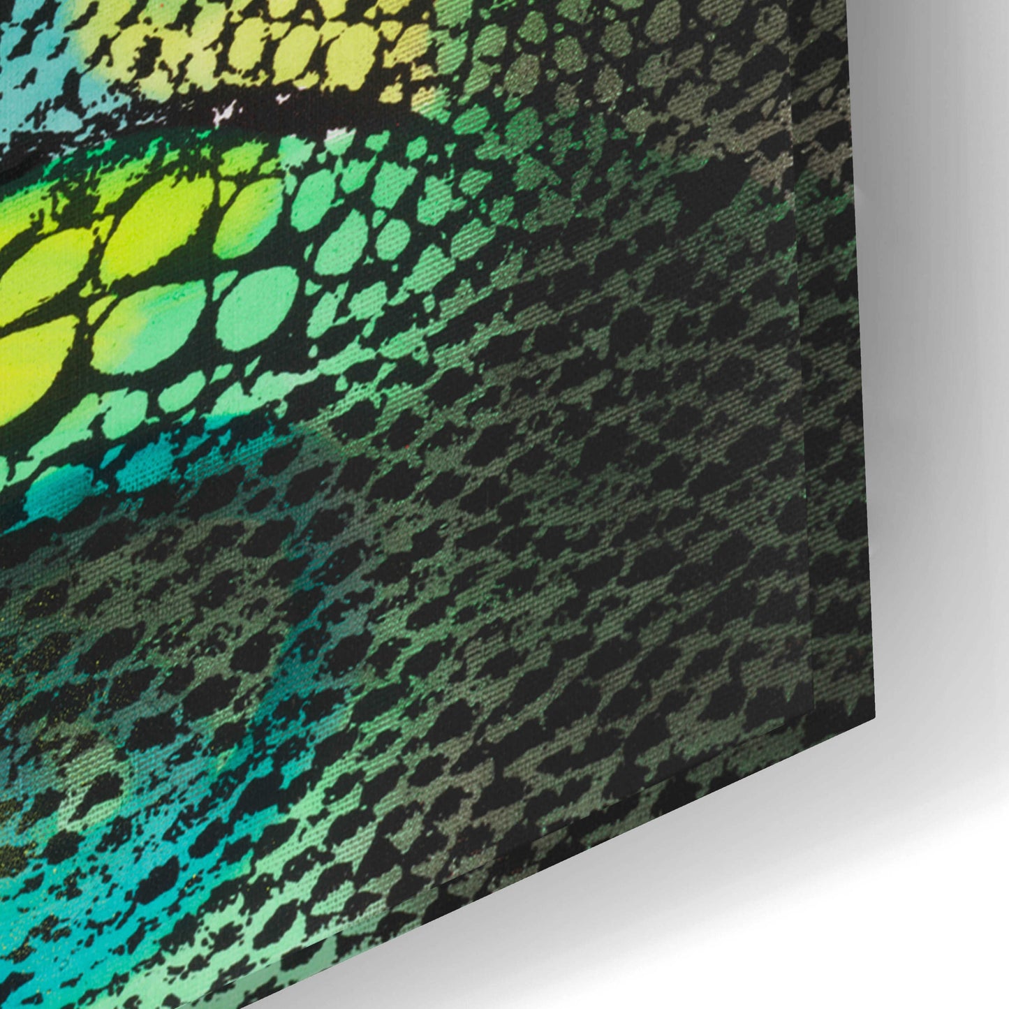 Epic Art 'Gecko' by Dean Russo, Acrylic Glass Wall Art,24x16