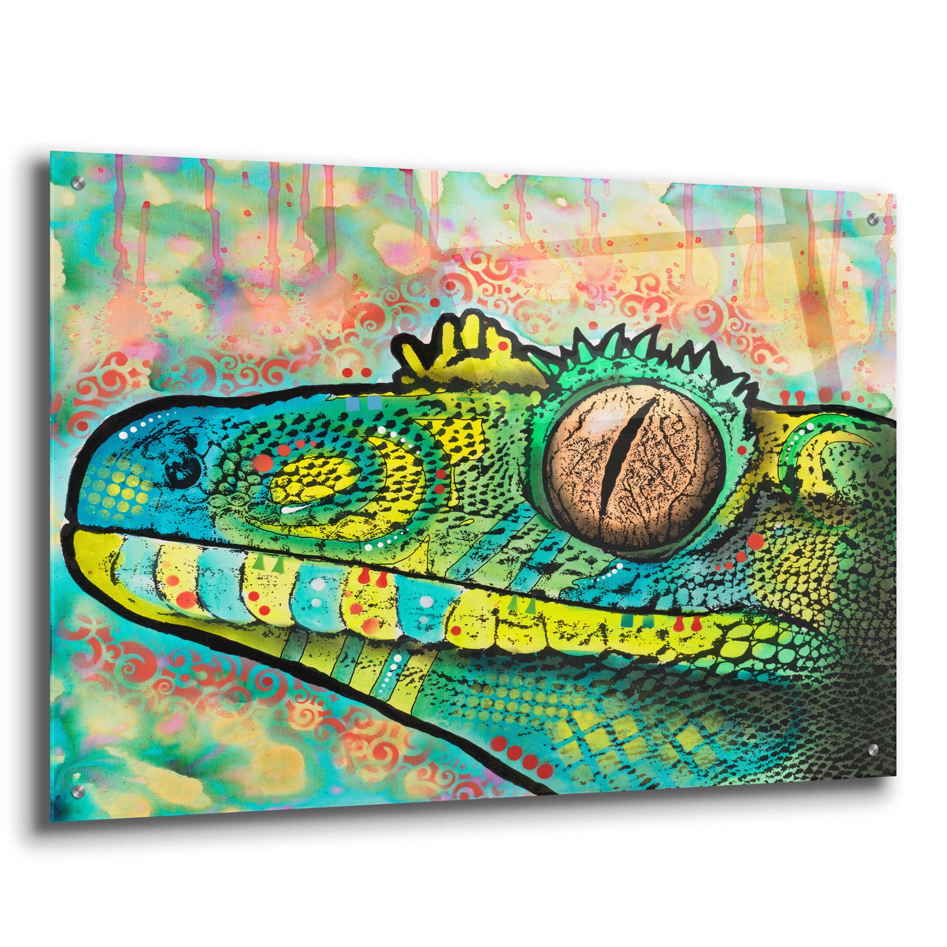 Epic Art 'Gecko' by Dean Russo, Acrylic Glass Wall Art,36x24