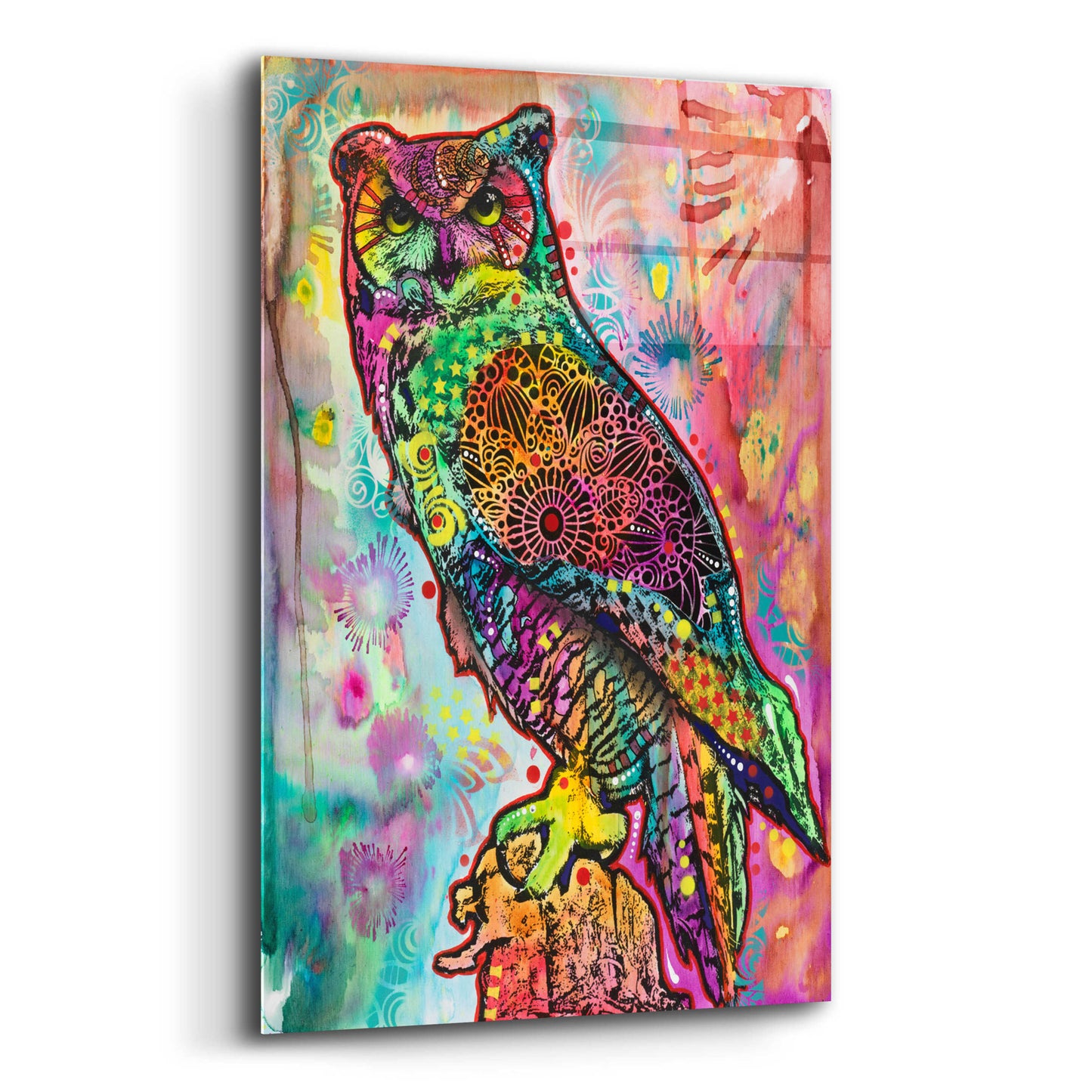 Epic Art 'Wise Owl' by Dean Russo, Acrylic Glass Wall Art,12x16