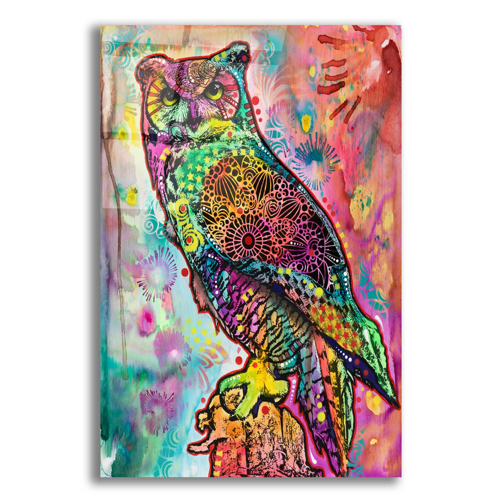 Epic Art 'Wise Owl' by Dean Russo, Acrylic Glass Wall Art,12x16