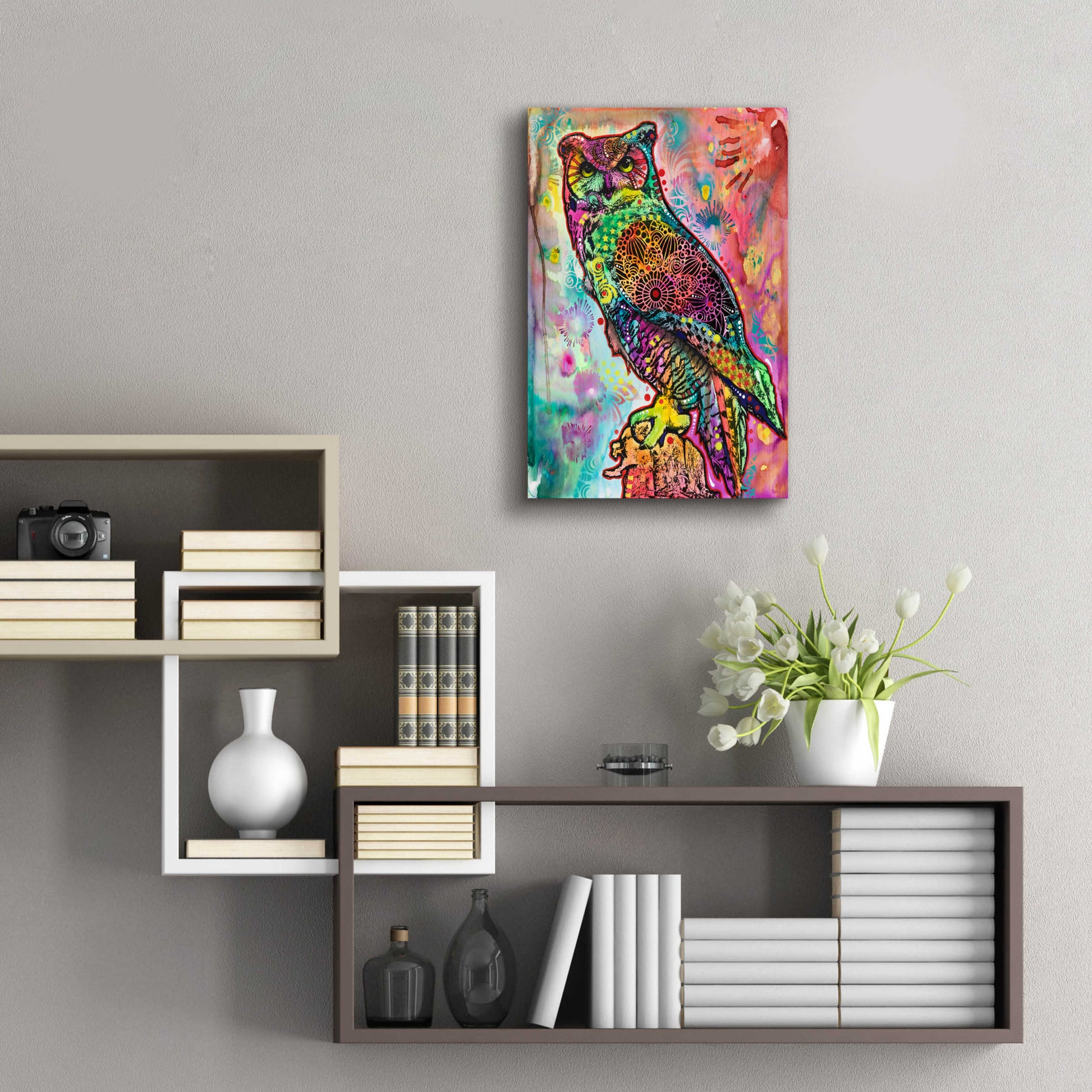 Epic Art 'Wise Owl' by Dean Russo, Acrylic Glass Wall Art,16x24