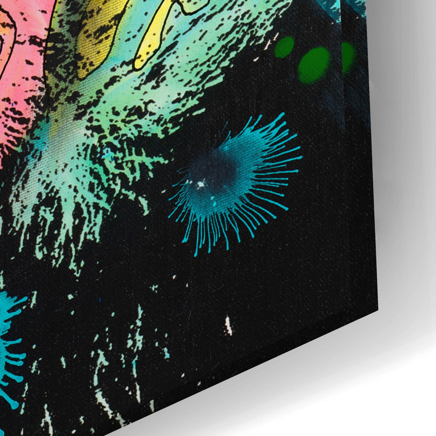 Epic Art 'Psychedelic Panda' by Dean Russo, Acrylic Glass Wall Art,24x16