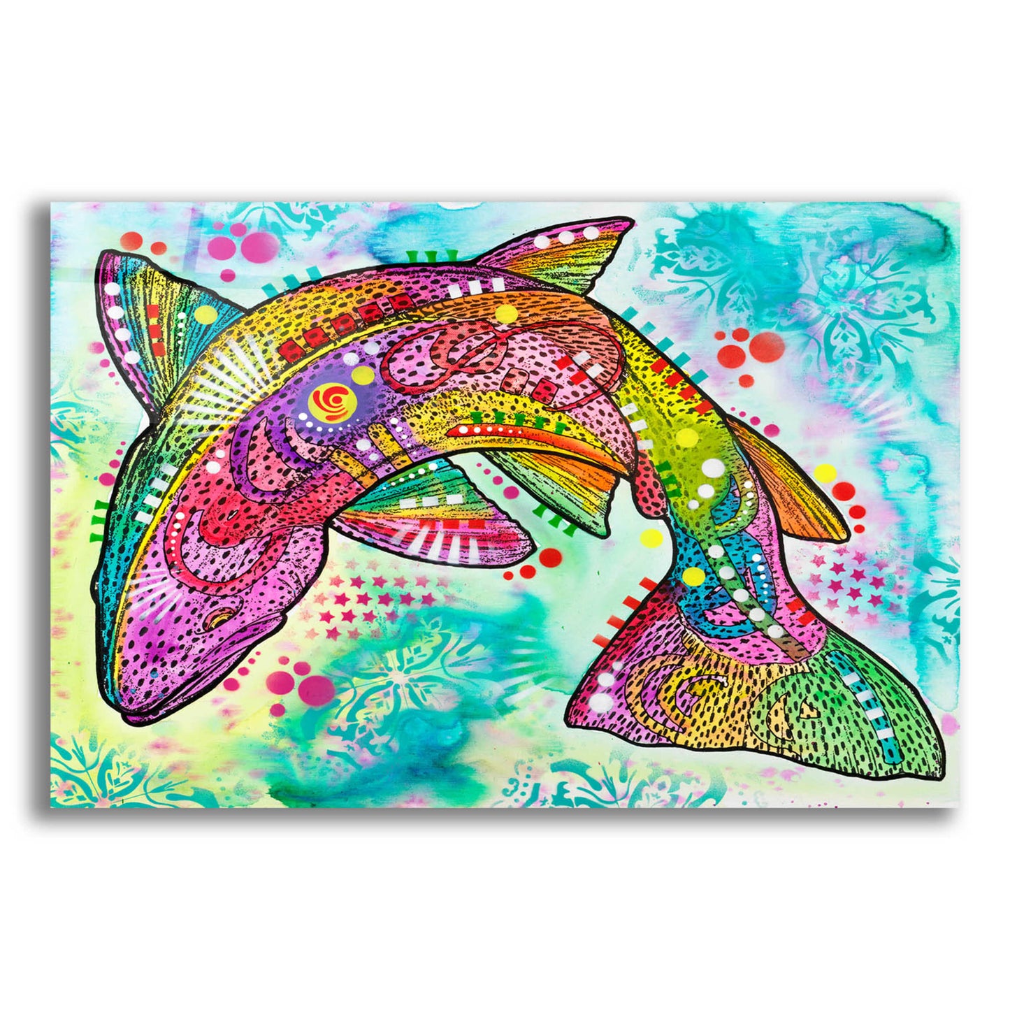 Epic Art 'Rainbow trout' by Dean Russo, Acrylic Glass Wall Art,16x12