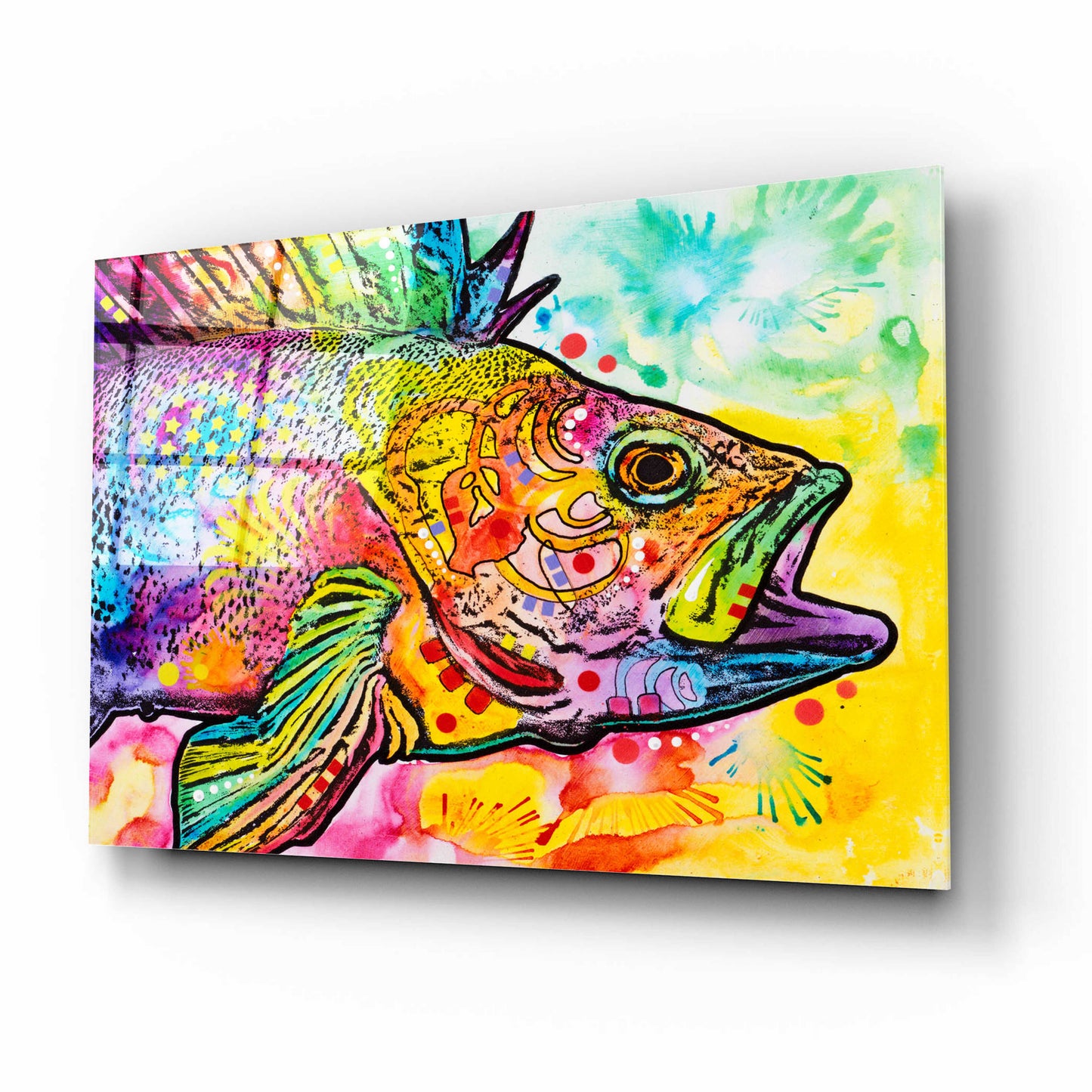 Epic Art 'Fish' by Dean Russo, Acrylic Glass Wall Art,16x12