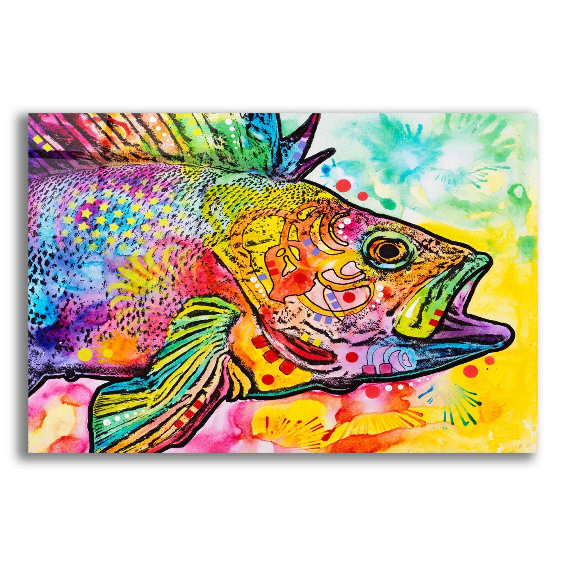 Epic Art 'Fish' by Dean Russo, Acrylic Glass Wall Art,16x12